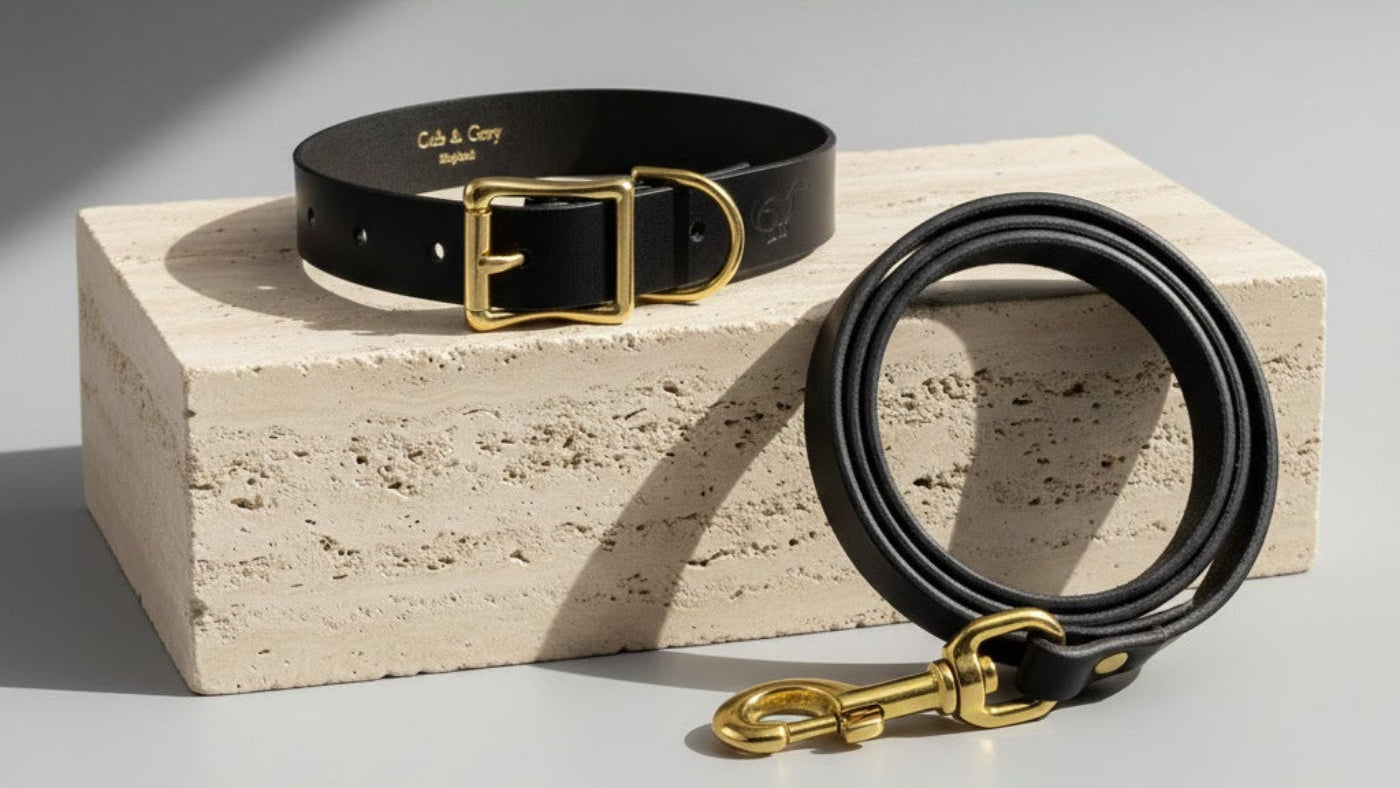 Black dog collar and leash with gold hardware on a stone block against a gray background