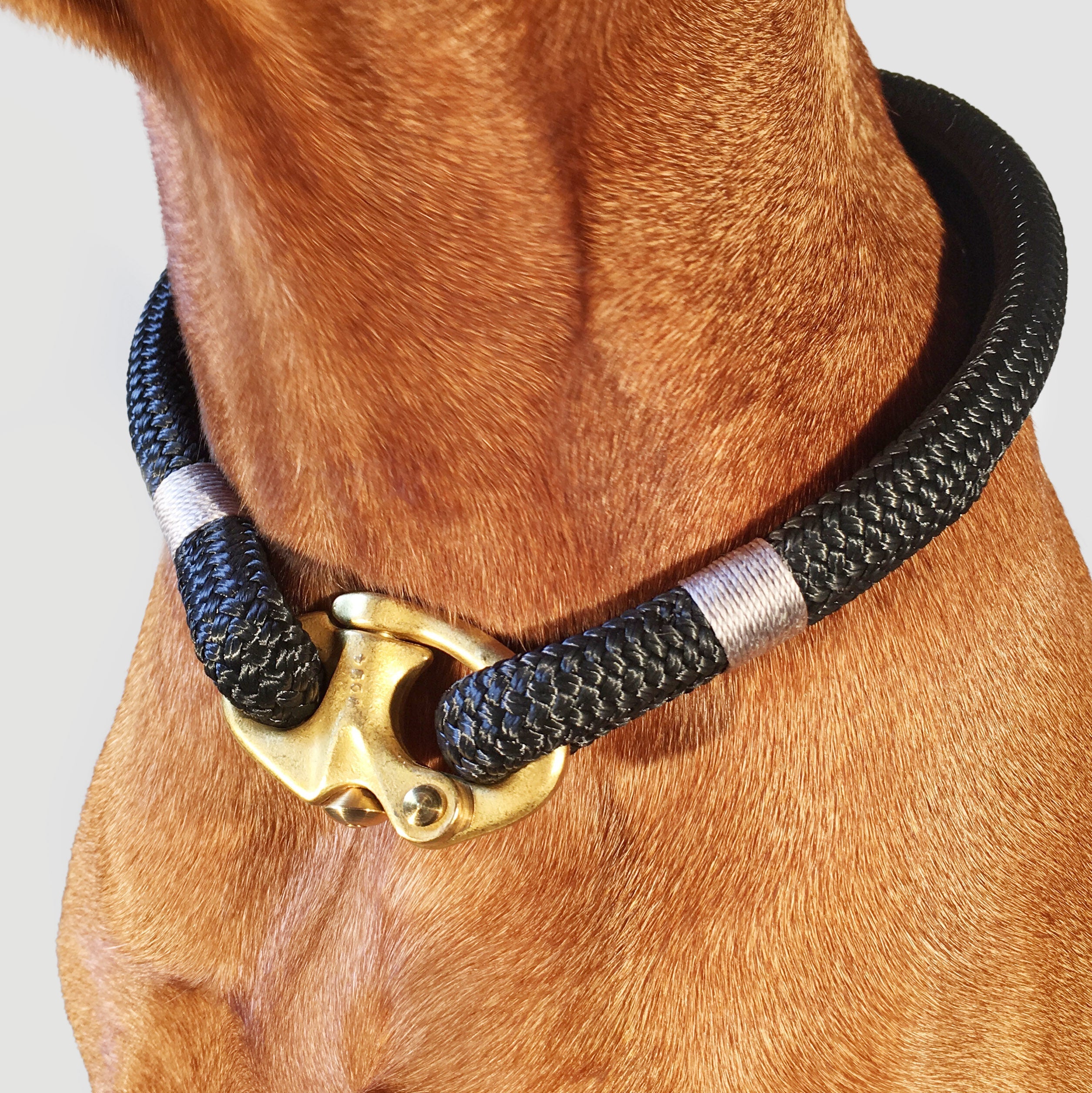 Close-up of Silver Birch collar showing cool grey and pale opaline whipping detail