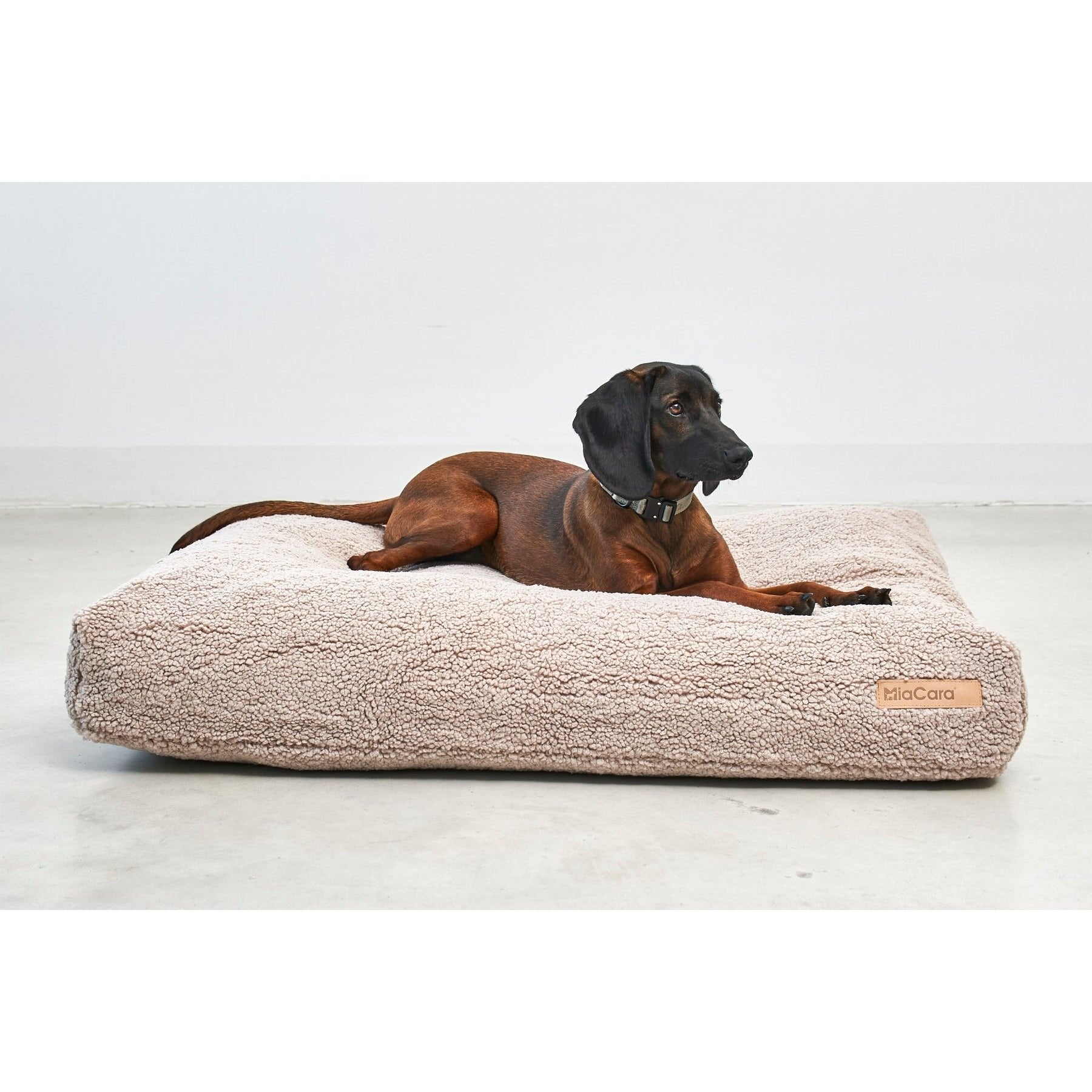 MiaCara Senso Cushion Designer Cover - Lifestyle image