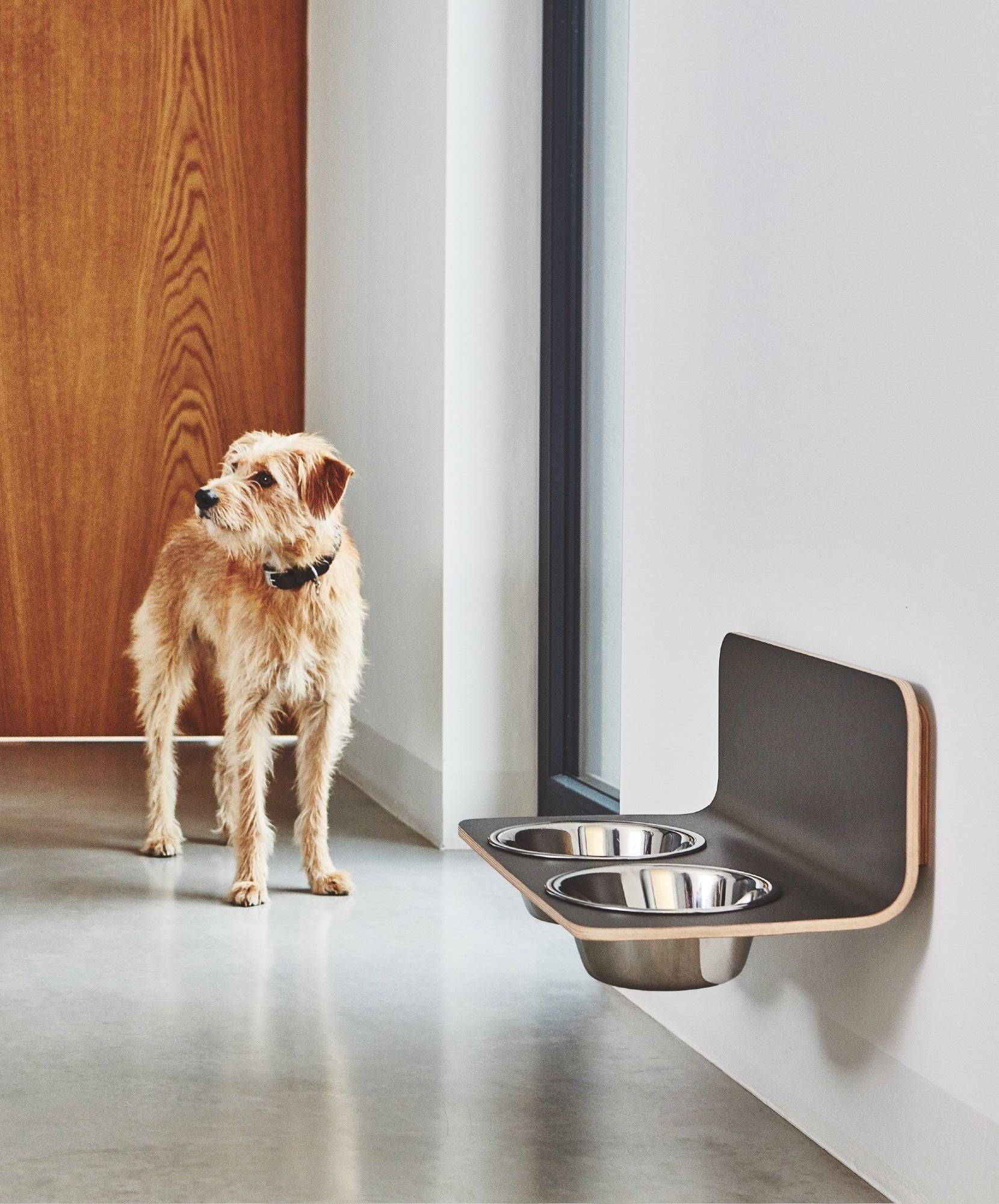 MiaCara Arco wall-mounted dog feeder with stainless steel bowls in modern minimalist interior with terrier dog