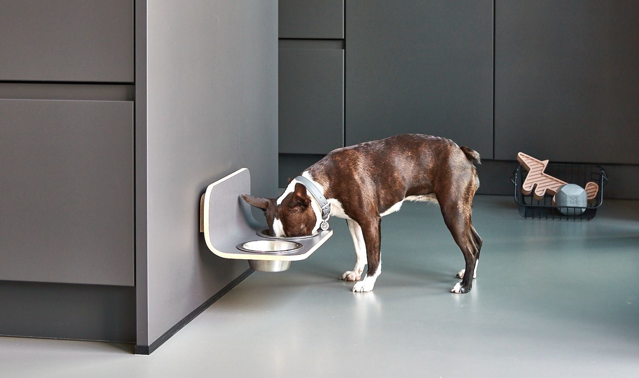 MiaCara Arco wall-mounted dog feeder with stainless steel bowls in modern minimalist kitchen, German design pet furniture