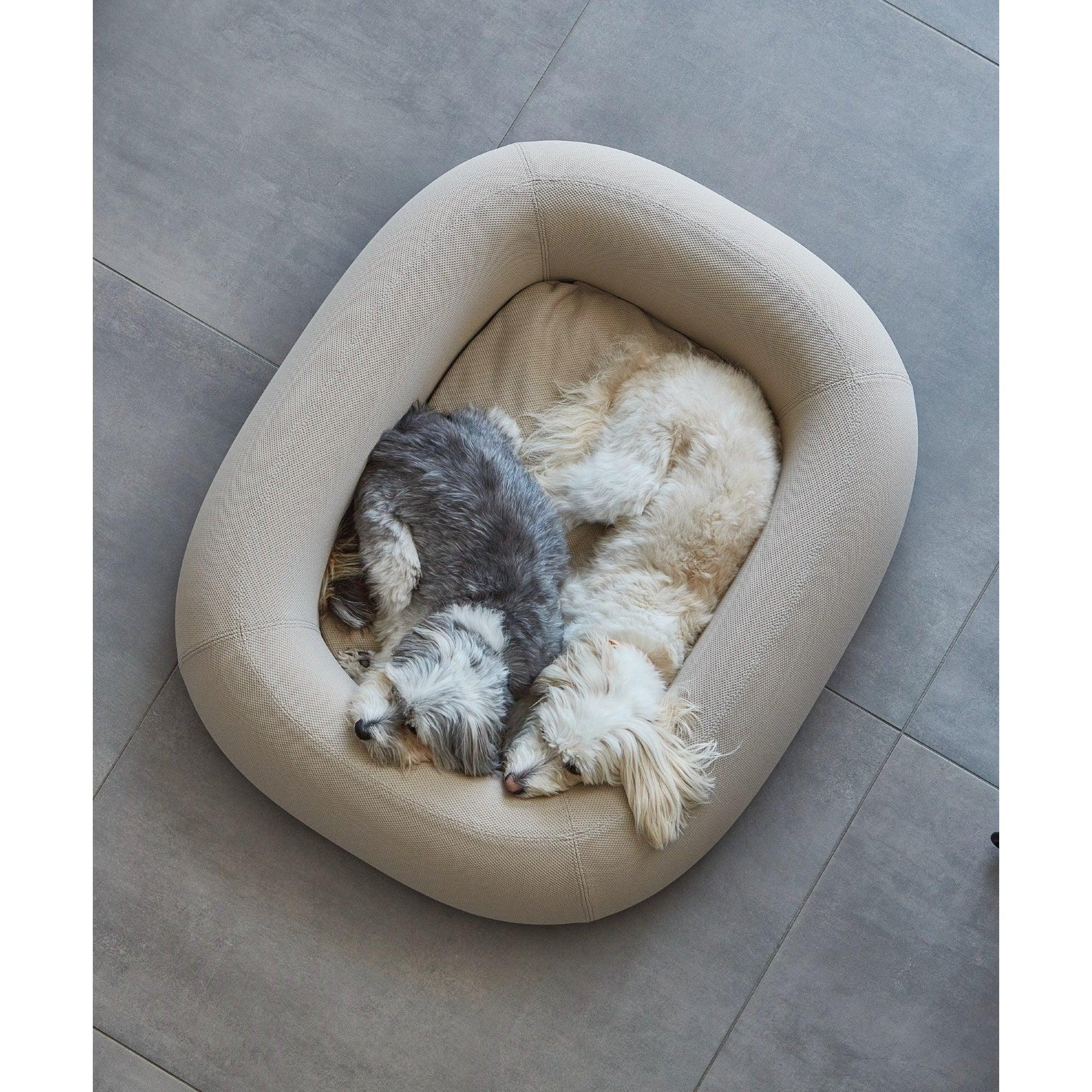 Two small dogs sleeping in oval beige designer dog bed with minimalist German design on grey tiled floor