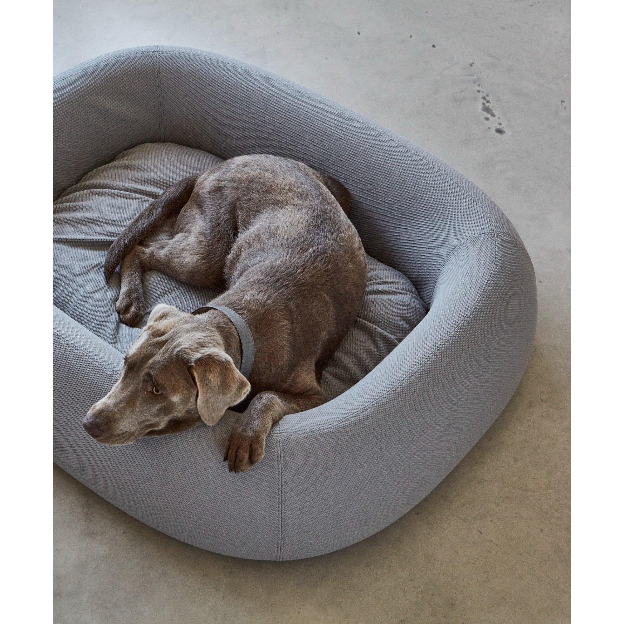 Grey minimalist Barca dog bed with sleeping Weimaraner showcasing contemporary German pet furniture design