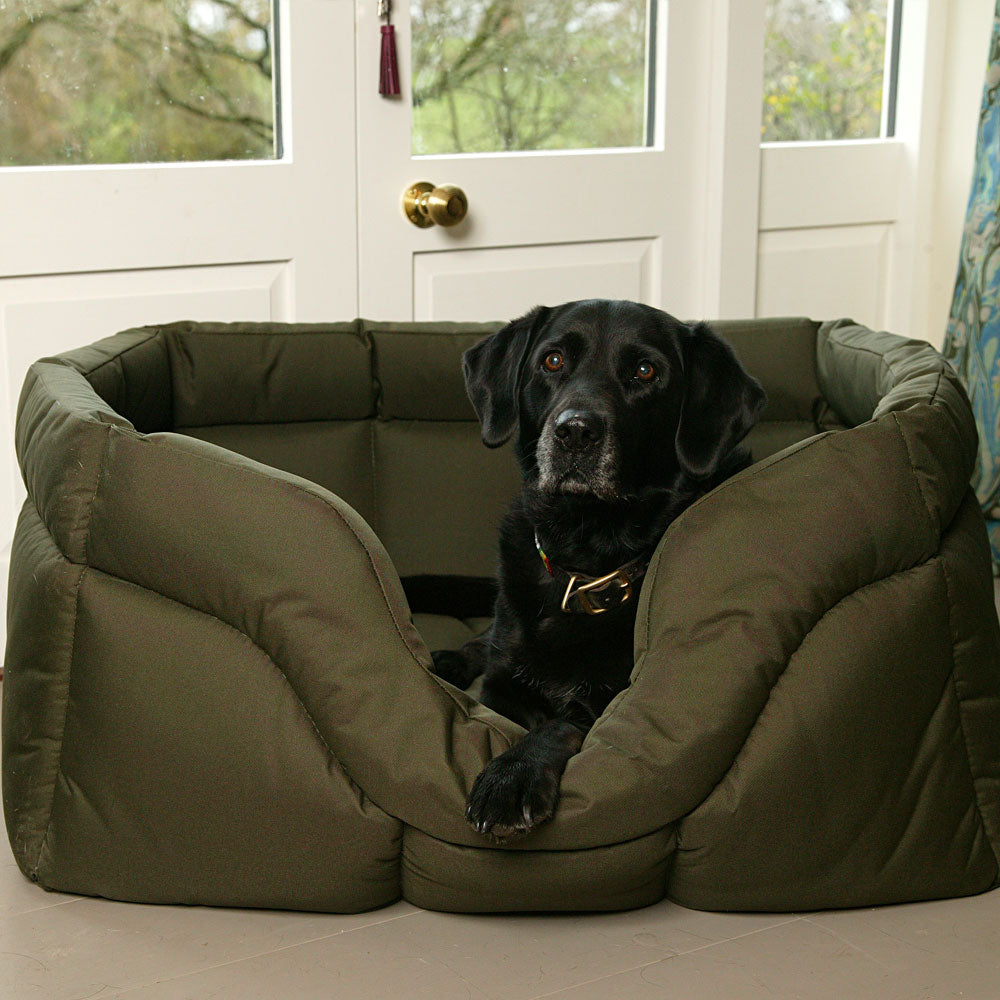 Black Labrador resting in olive green rectangular high-sided waterproof dog bed by white French doors