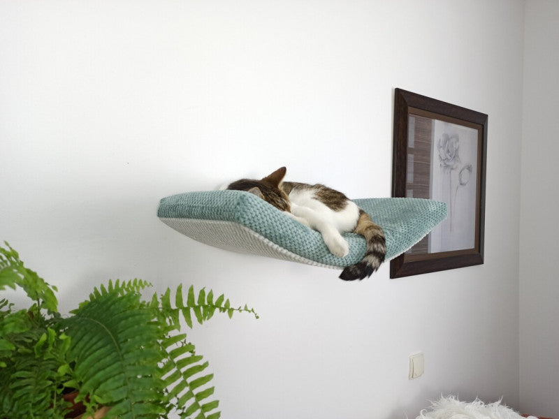 A sleeping tabby cat on a teal Cat's Atelier Floating Cat Wall Shelf