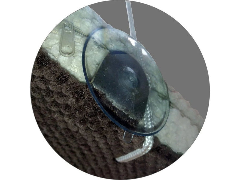 Cat sleeping peacefully in clear window hammock with suction cups, showing comfortable curved design for cats