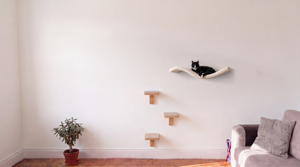 Cat Climbing Wall Set, Shelf and 3 Steps | Cat's Atelier