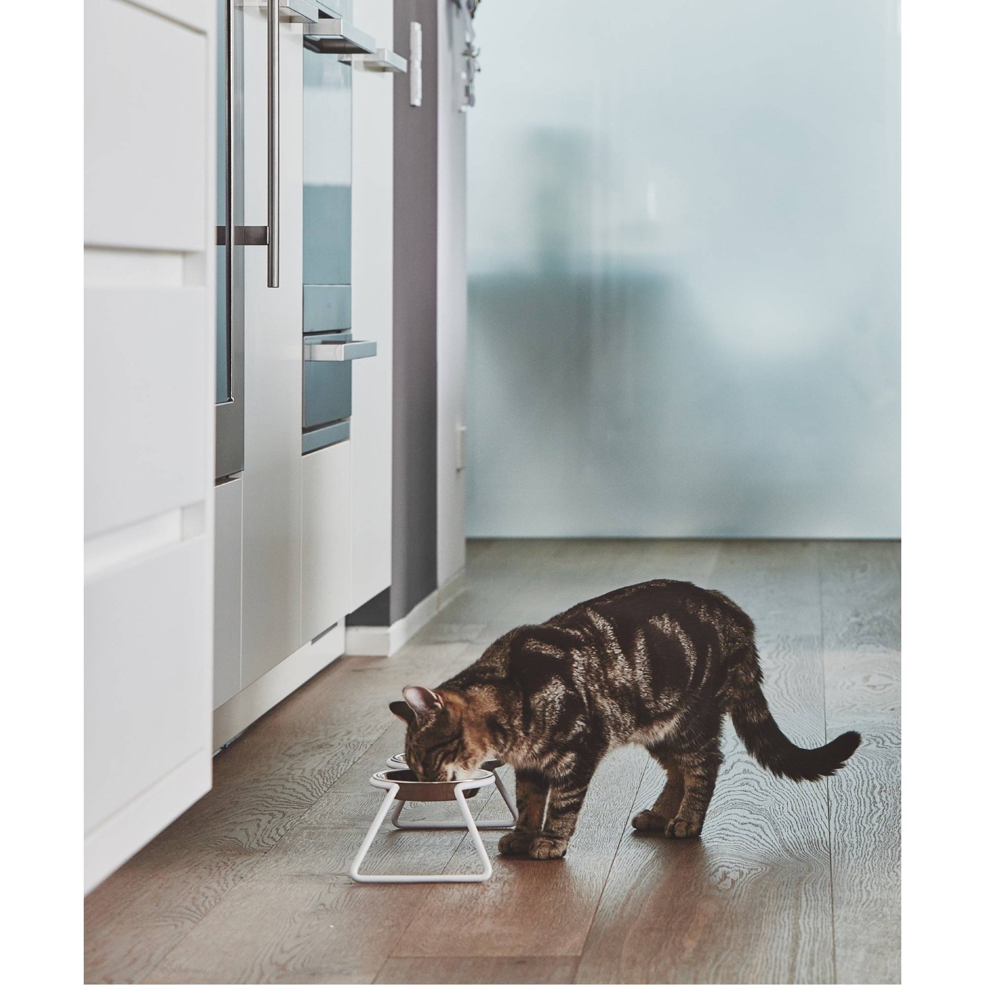 Designer stainless steel cat feeder detail view showing German minimalist construction