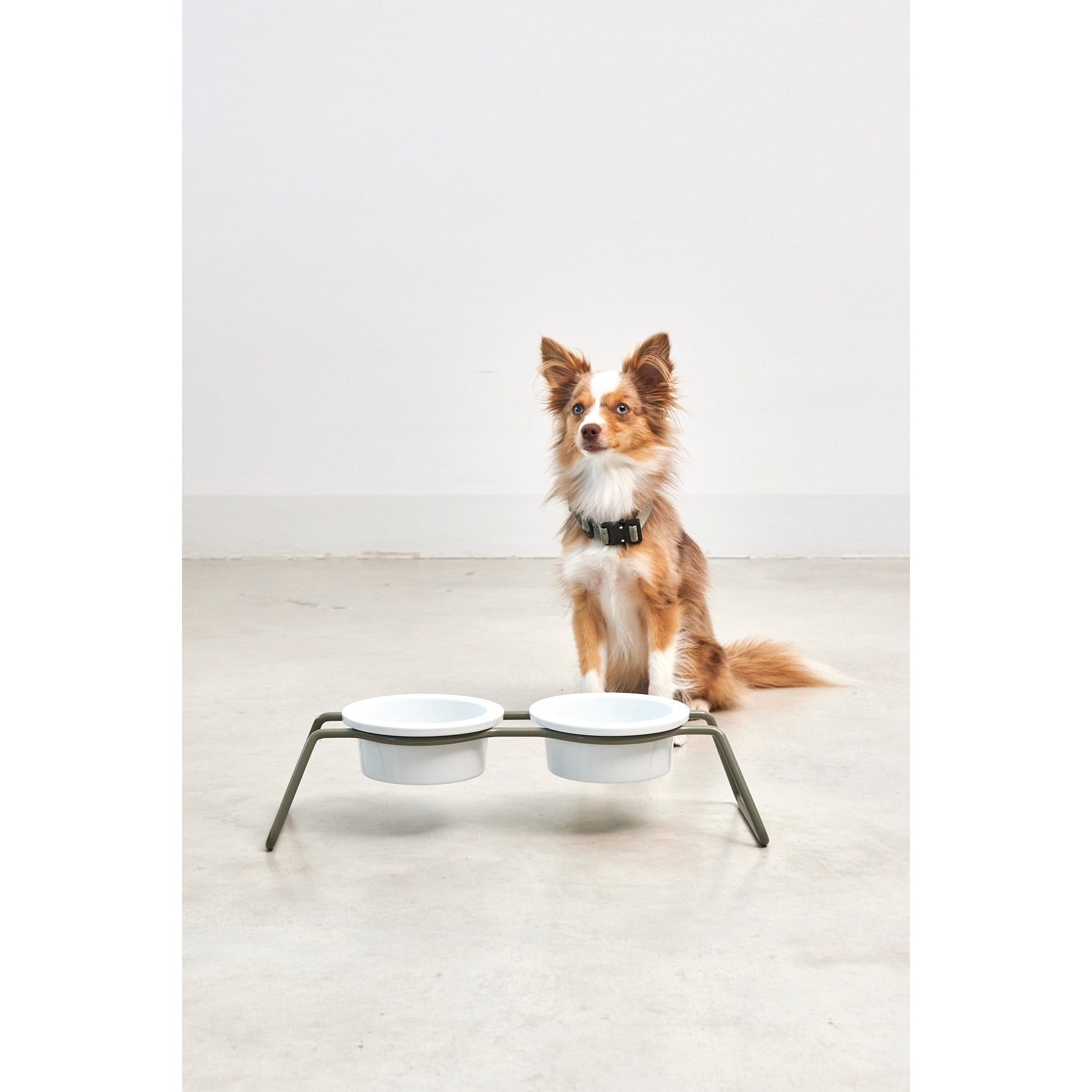 MiaCara Cena Elevated Dog Feeder - Porcelain - Image 9
