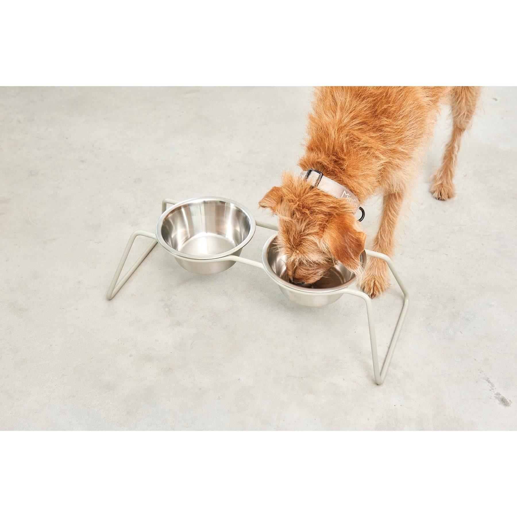 MiaCara Cena Elevated Dog Feeder - Stainless Steel - Image 10