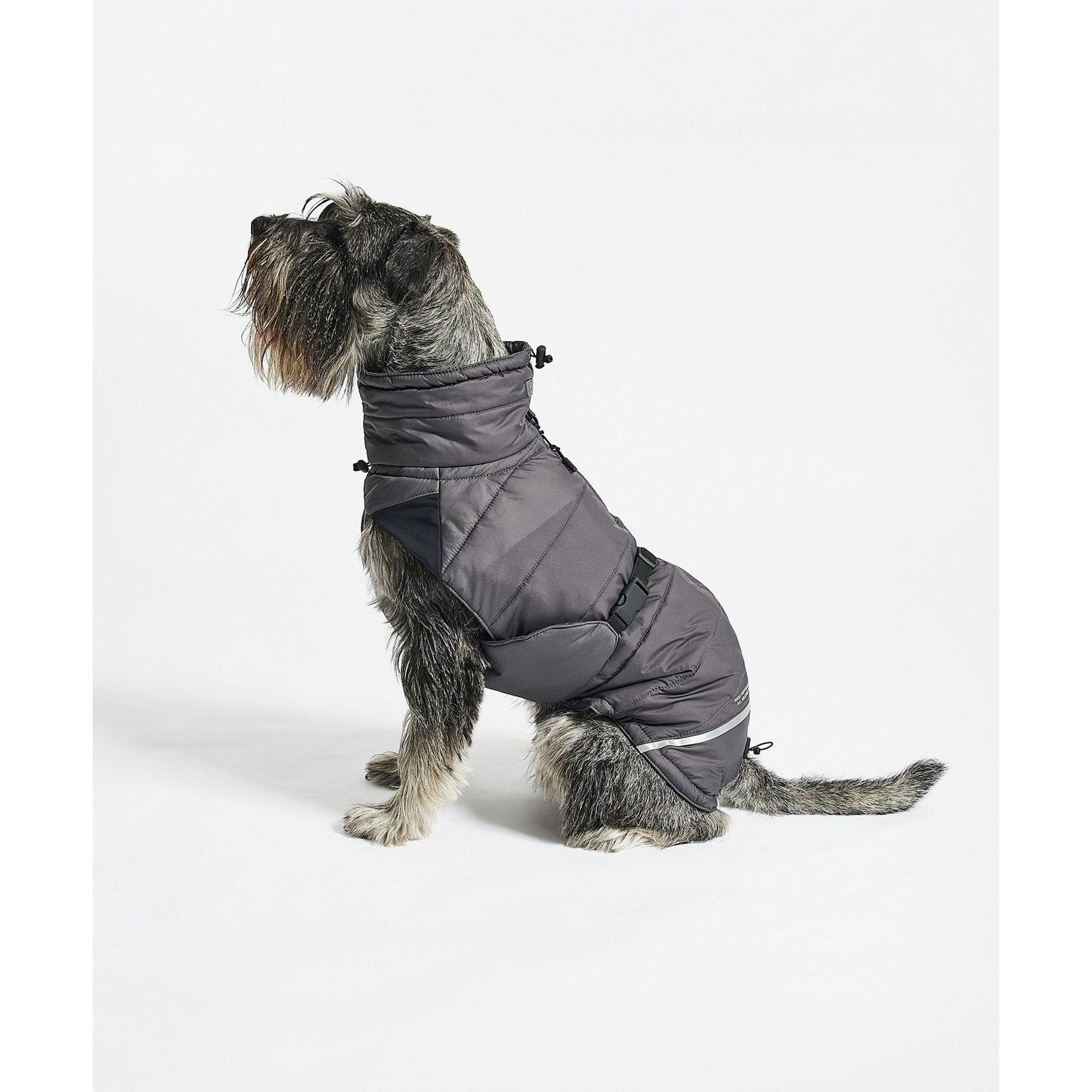 Grey designer dog winter coat with minimalist quilted design on schnauzer, showcasing German craftsmanship