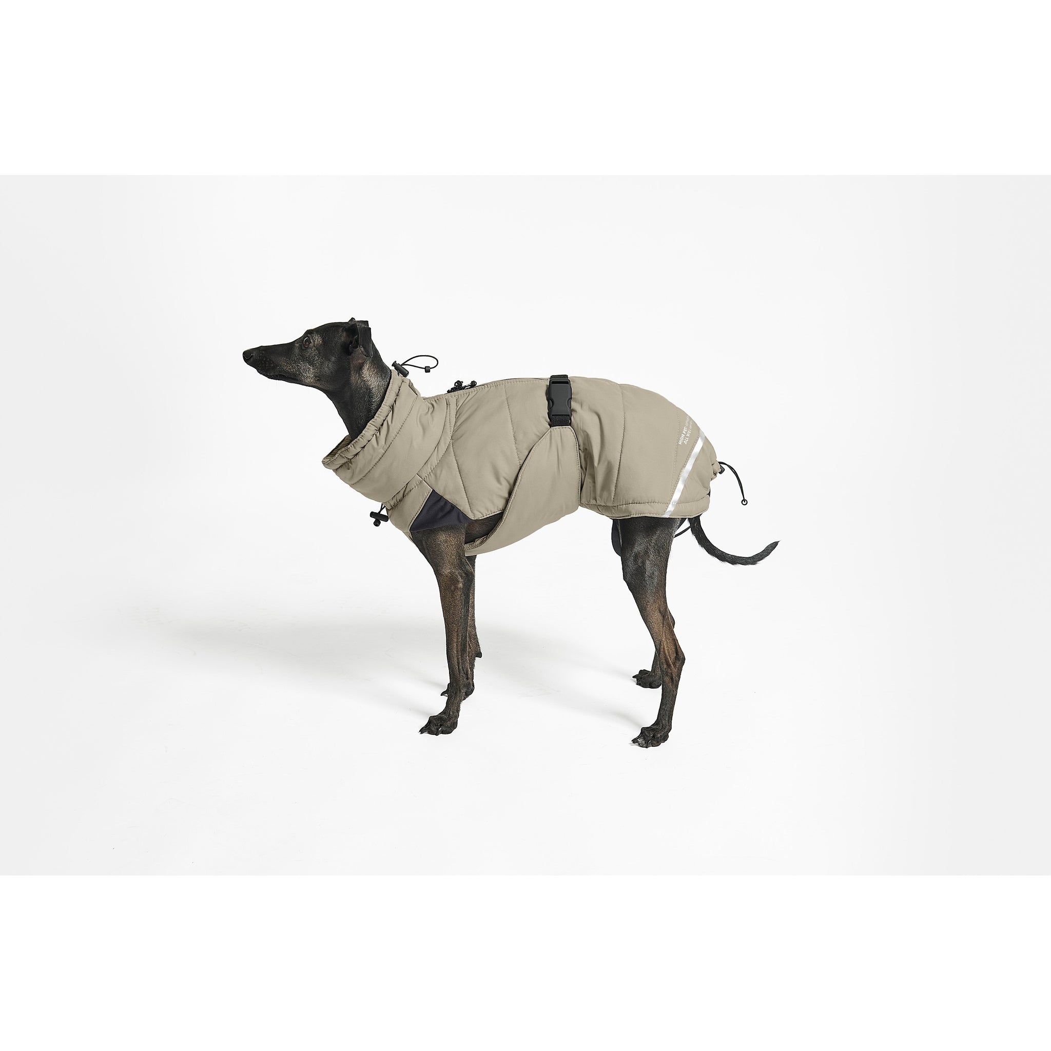 Greyhound wearing minimalist beige Cosima winter coat with modern design details and adjustable straps