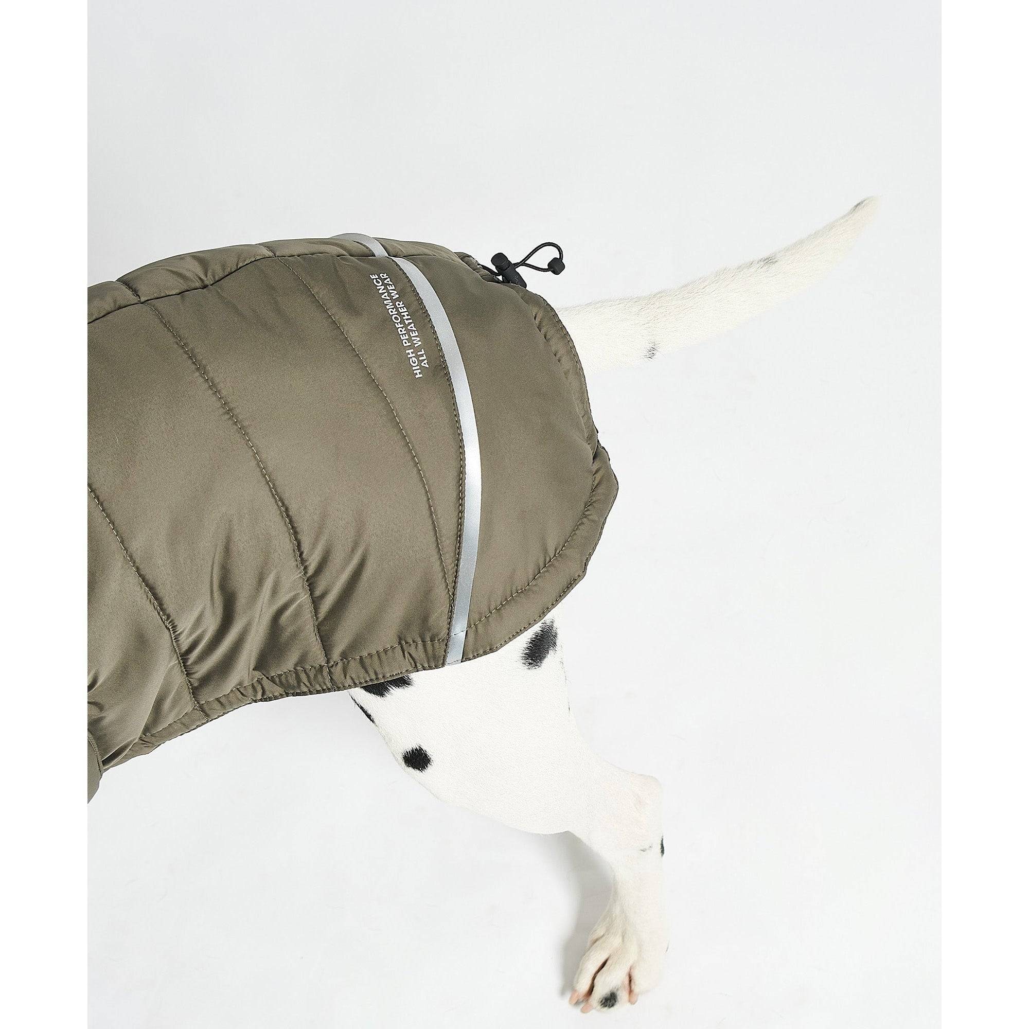 White dog wearing olive green MiaCara Cosima designer winter coat with minimalist German design and sustainable quilting