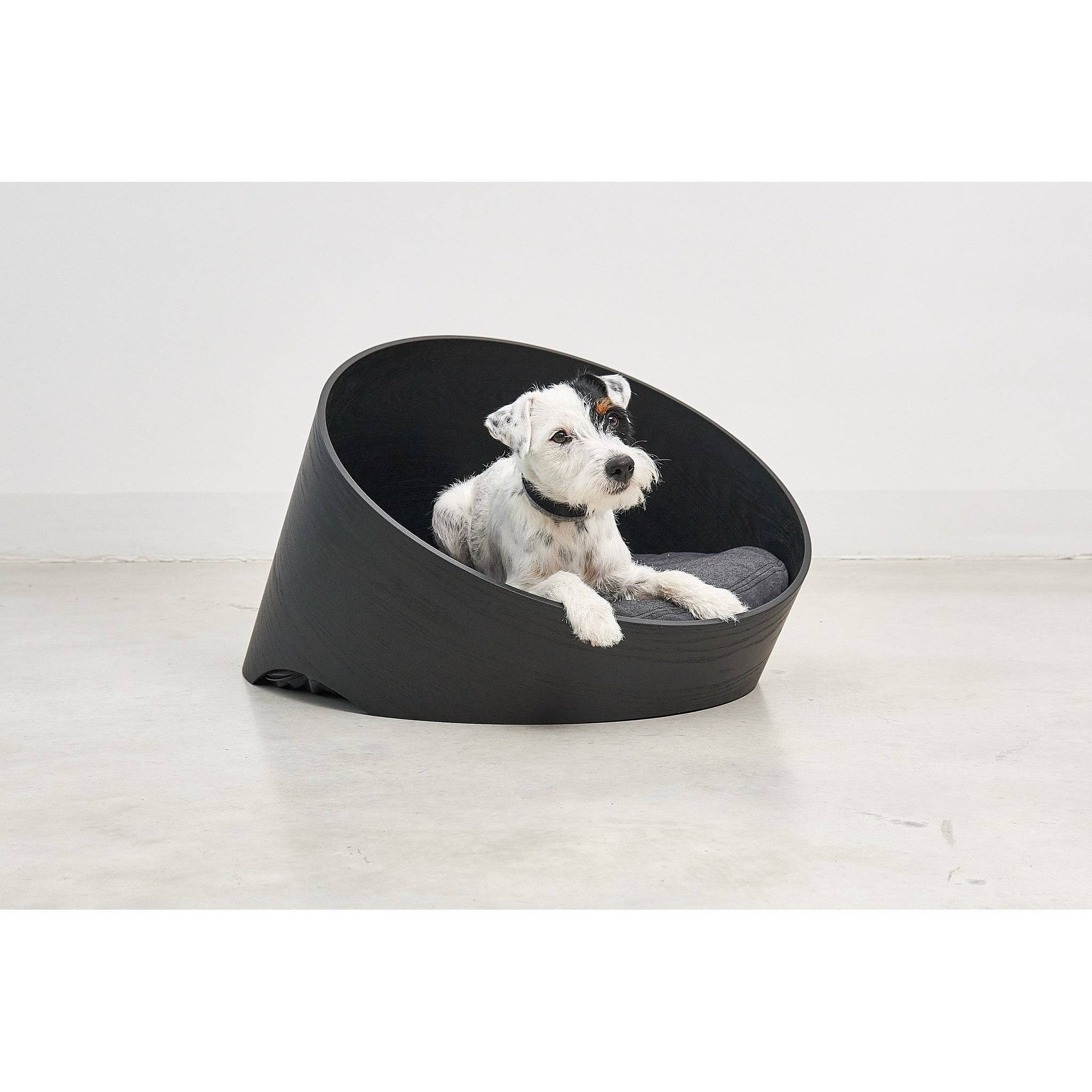 Small white terrier dog resting in black modern oval designer pet bed with minimalist German design aesthetic