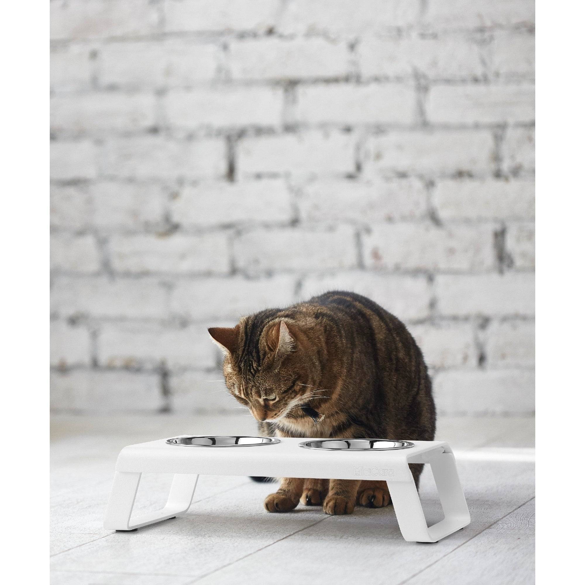 Tabby cat eating from MiaCara Desco elevated feeder with stainless steel bowls on minimalist white stand