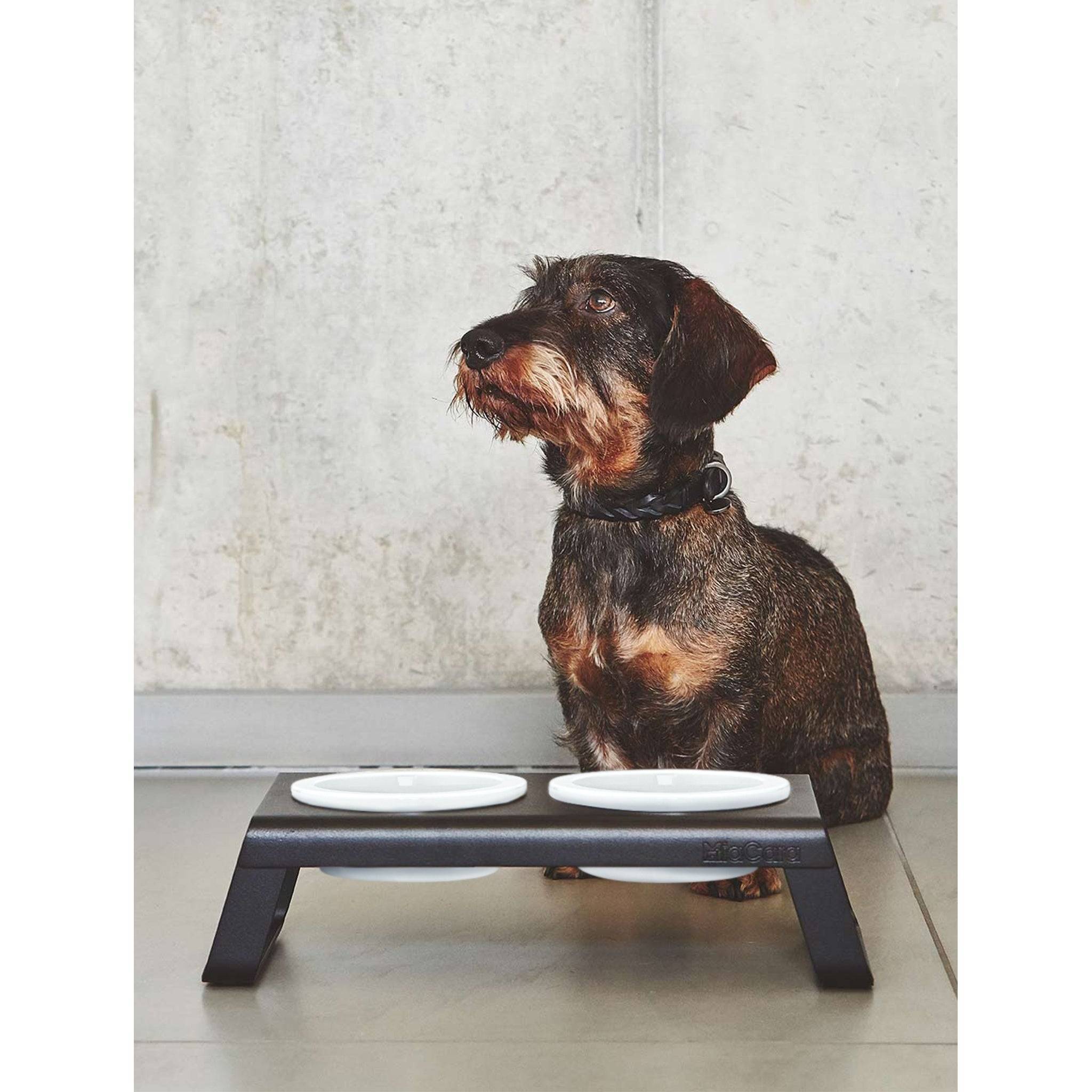 MiaCara Desco Elevated Dog Feeder - Porcelain - Image 18