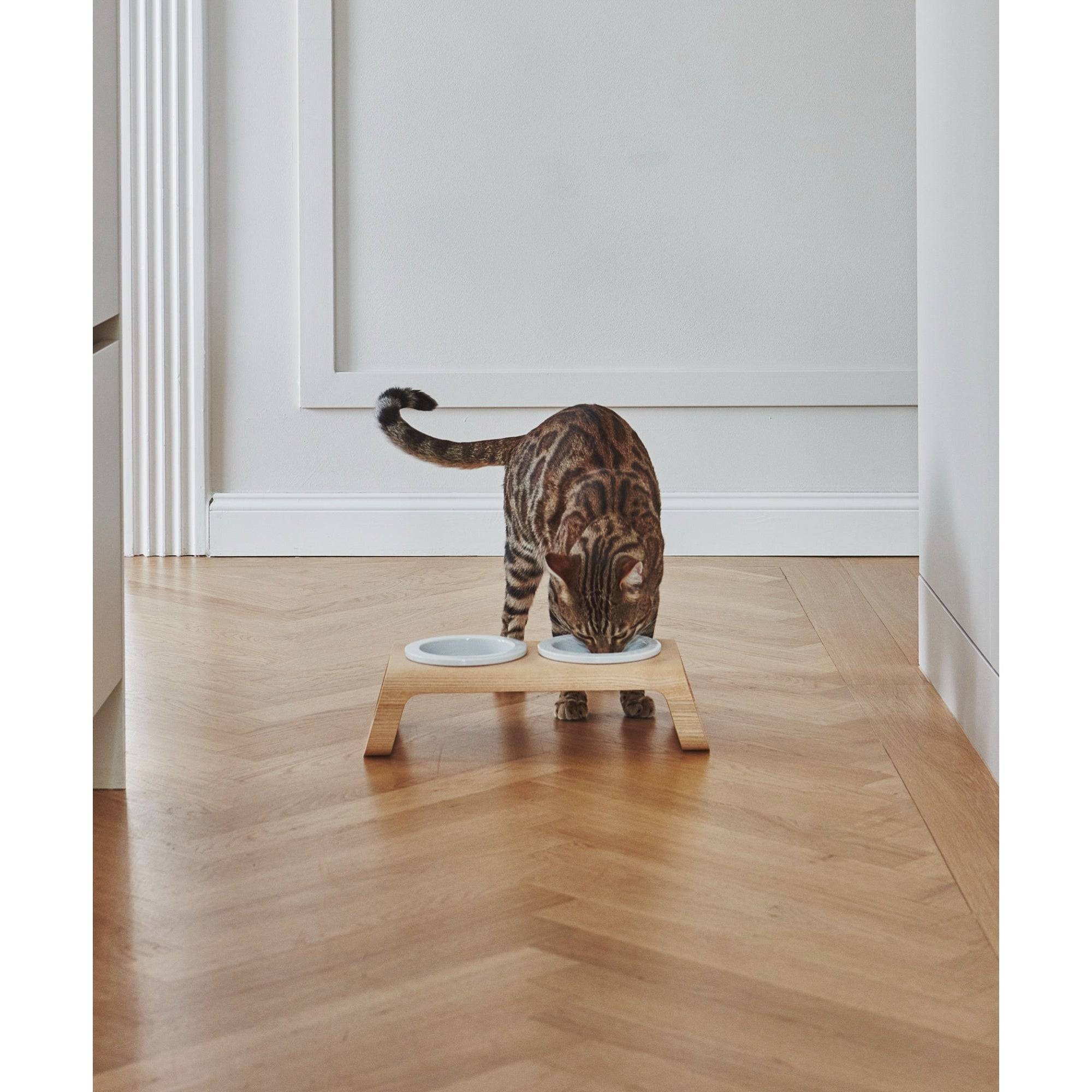 Tabby cat eating from MiaCara Desco elevated feeder with white porcelain bowls on oak wood base in modern home