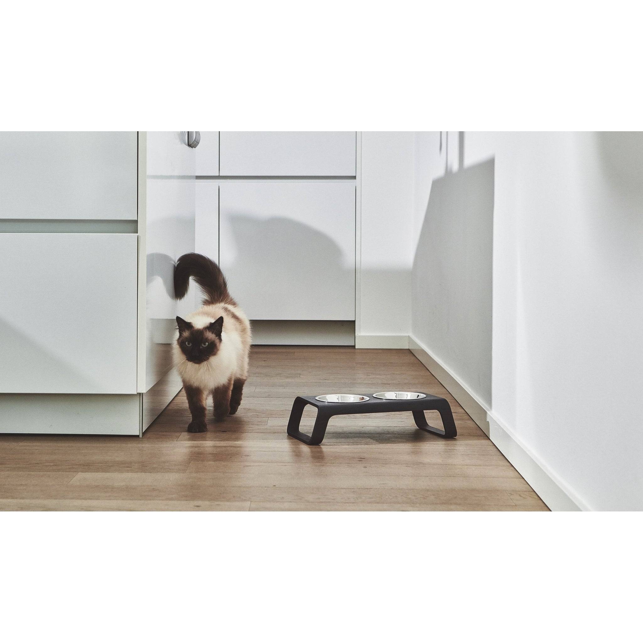 German-designed MiaCara Desco elevated cat feeder detail view with stainless steel