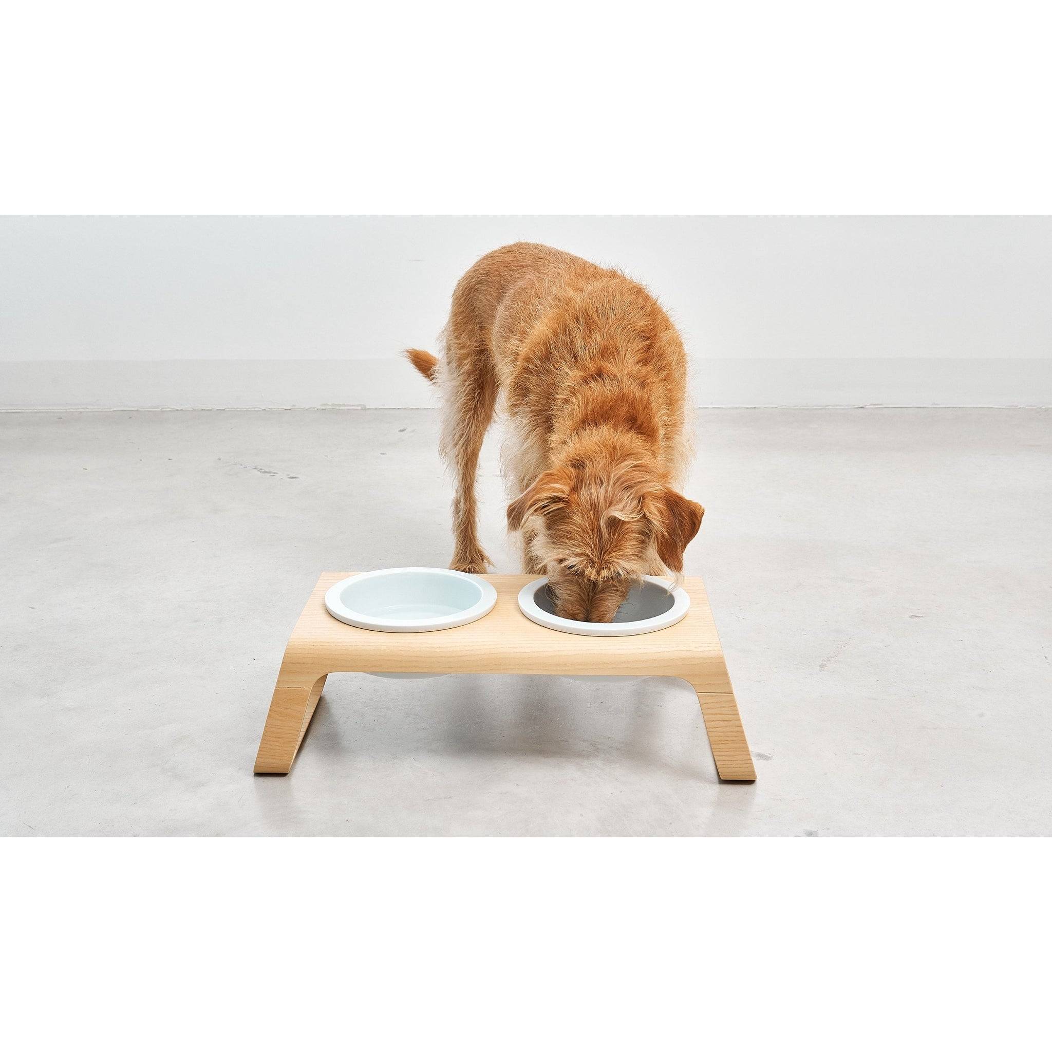 MiaCara Desco Elevated Dog Feeder - Porcelain - Image 21