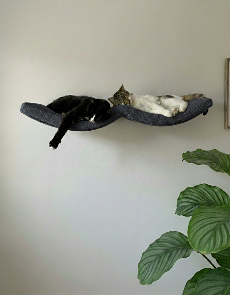 Cat Wall Shelf - The Double Arch Haven with Dark Grey DOT cushion