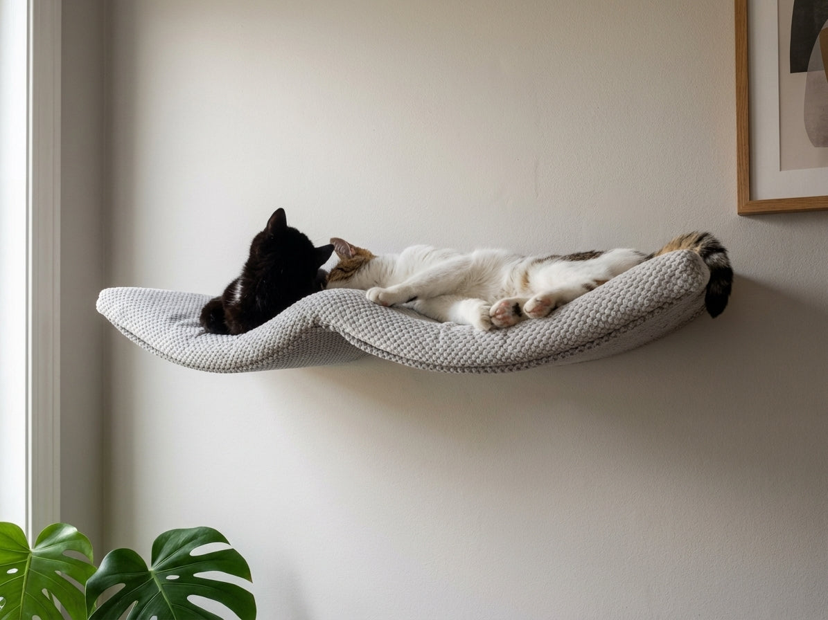 Black and white cat relaxing on grey fabric wall-mounted cat shelf with curved design and supporting brackets