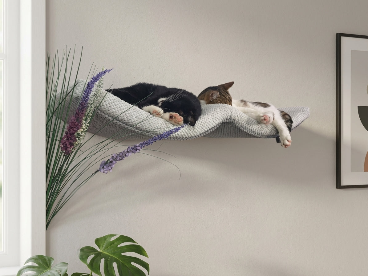 Two cats relaxing on white mesh cat wall shelf with arch design, mounted near decorative plants and frame