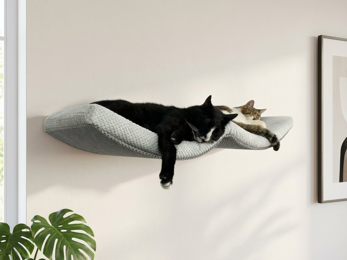 Two cats resting on white fabric cat wall shelf with curved design, mounted above houseplants in modern home
