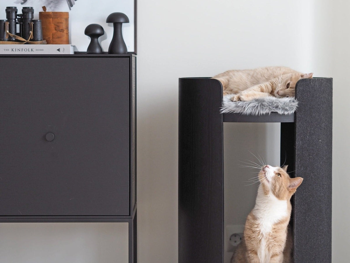 Two cats on a charcoal MiaCara Torre cat tower beside a black sideboard