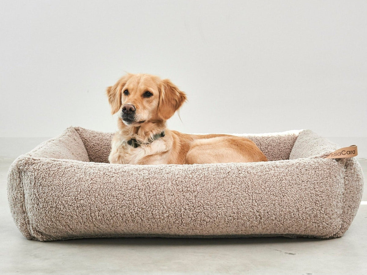 A golden retriever lying in a beige MiaCara Senso dog bed