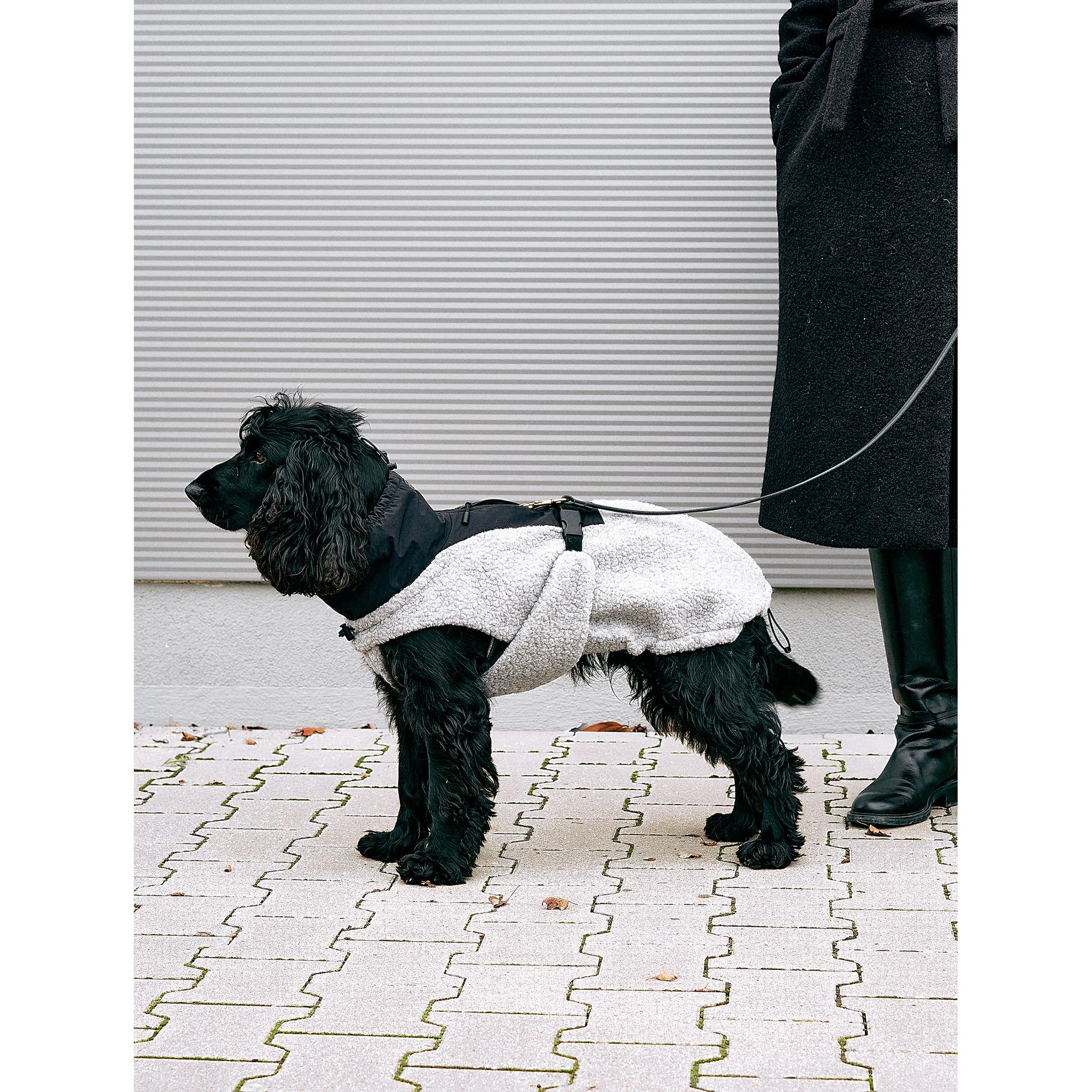 MiaCara Emilia Dog Contemporary Coat - Detail view