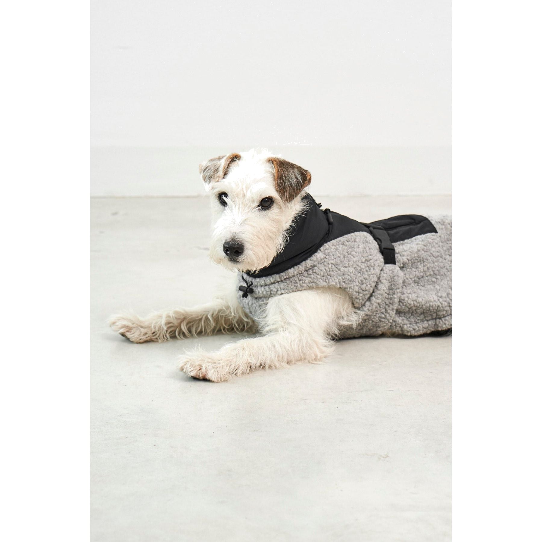 MiaCara Emilia Dog Contemporary Coat - Alternative angle