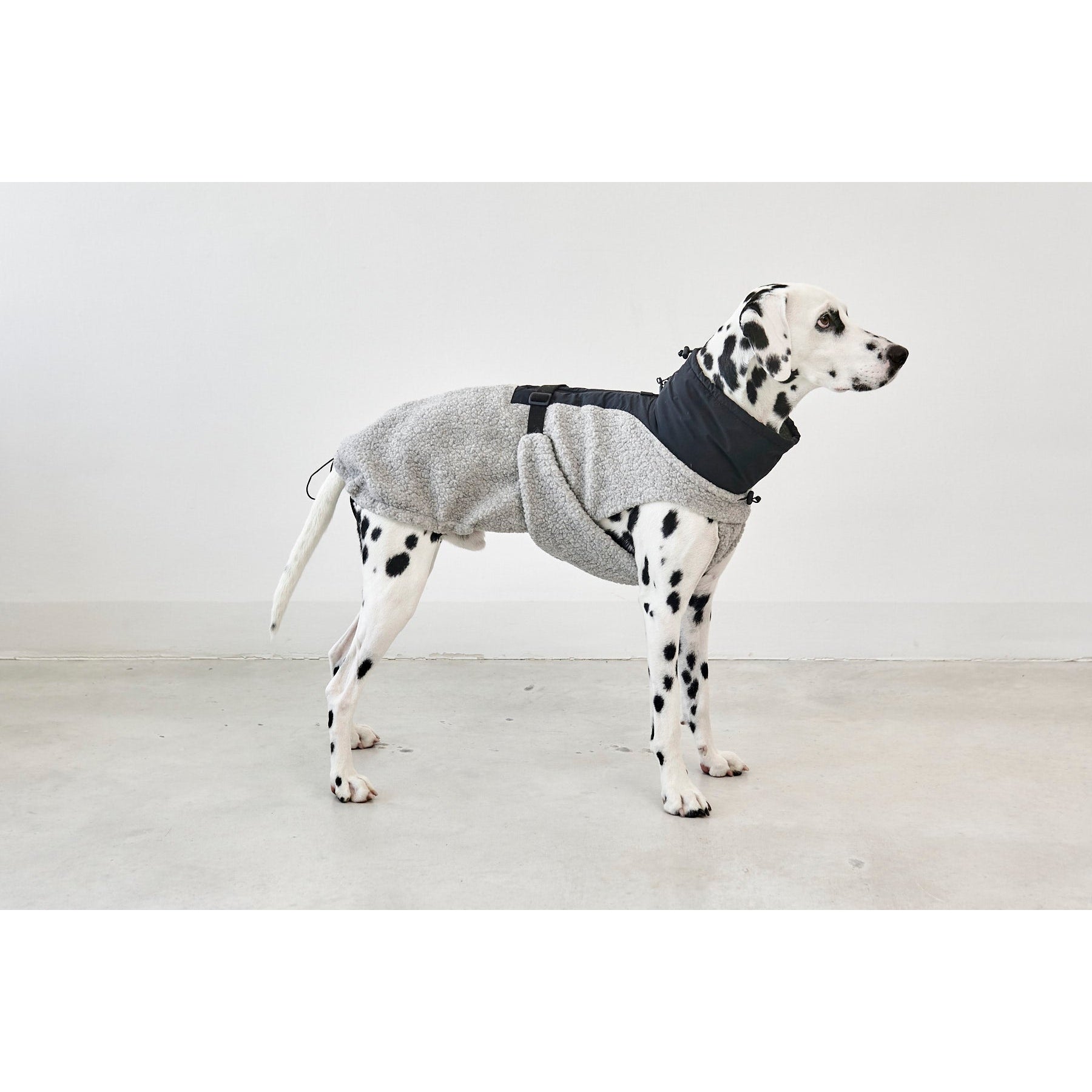MiaCara Emilia Dog Contemporary Coat - Image 5