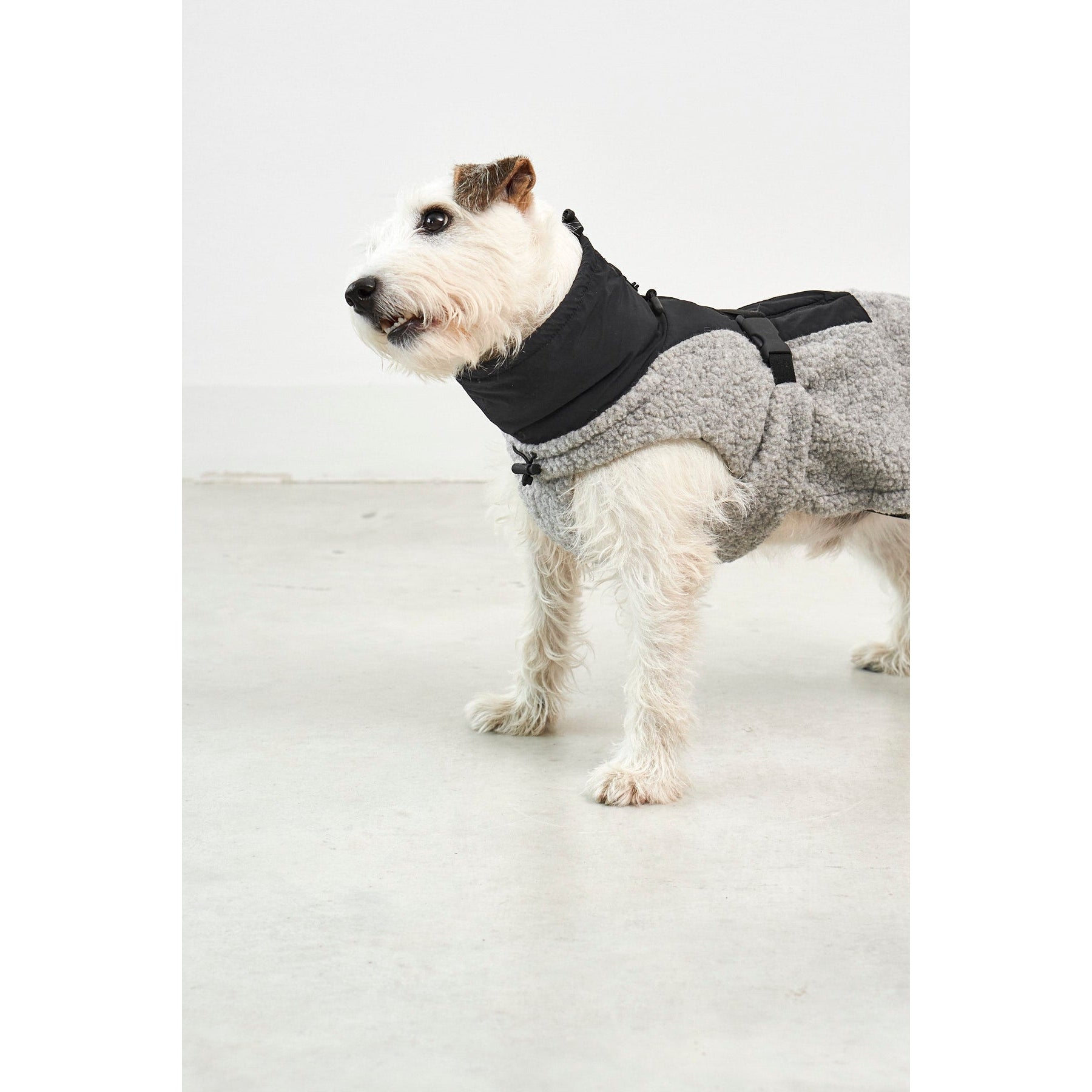 MiaCara Emilia Dog Contemporary Coat - Image 7