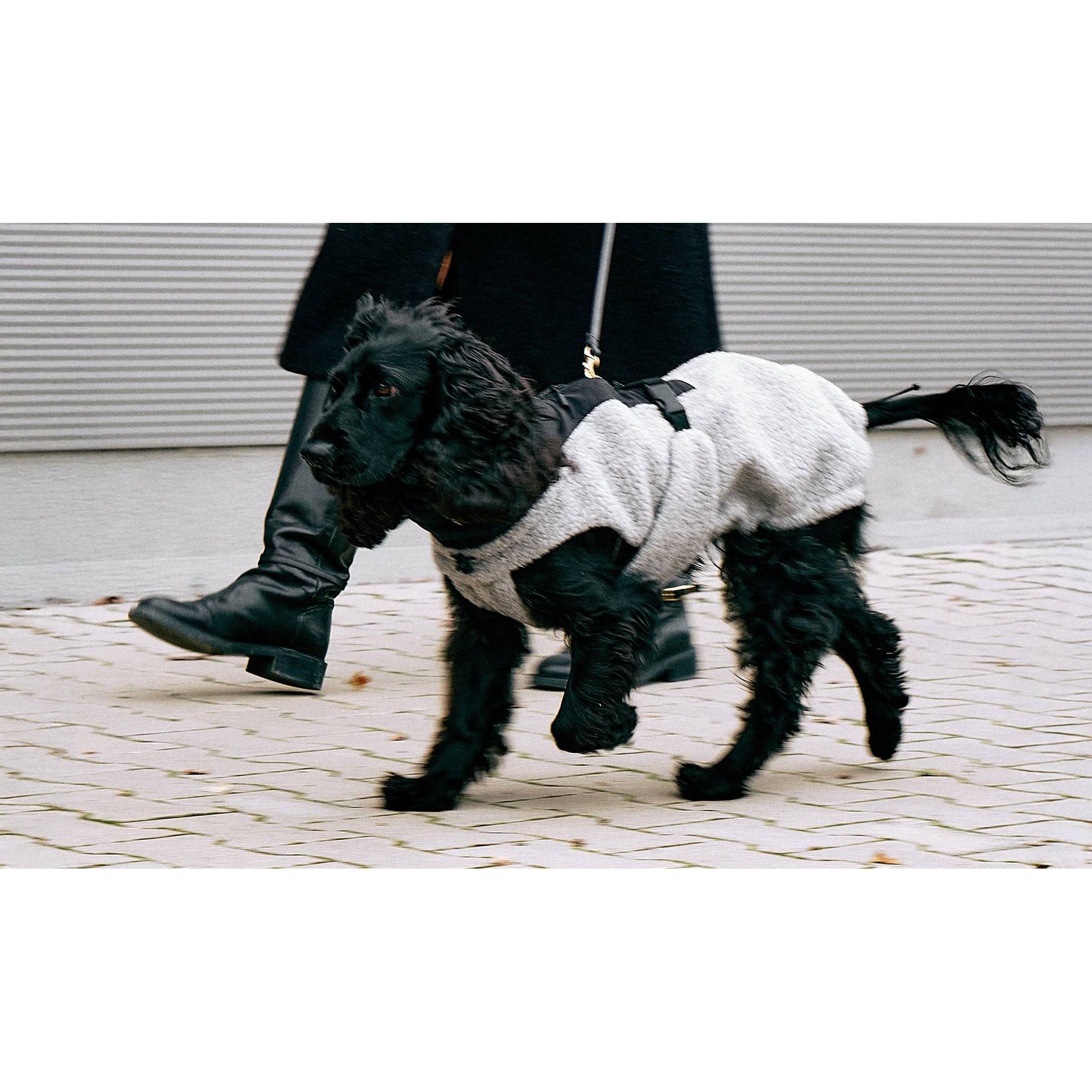 MiaCara Emilia Dog Contemporary Coat - Image 8