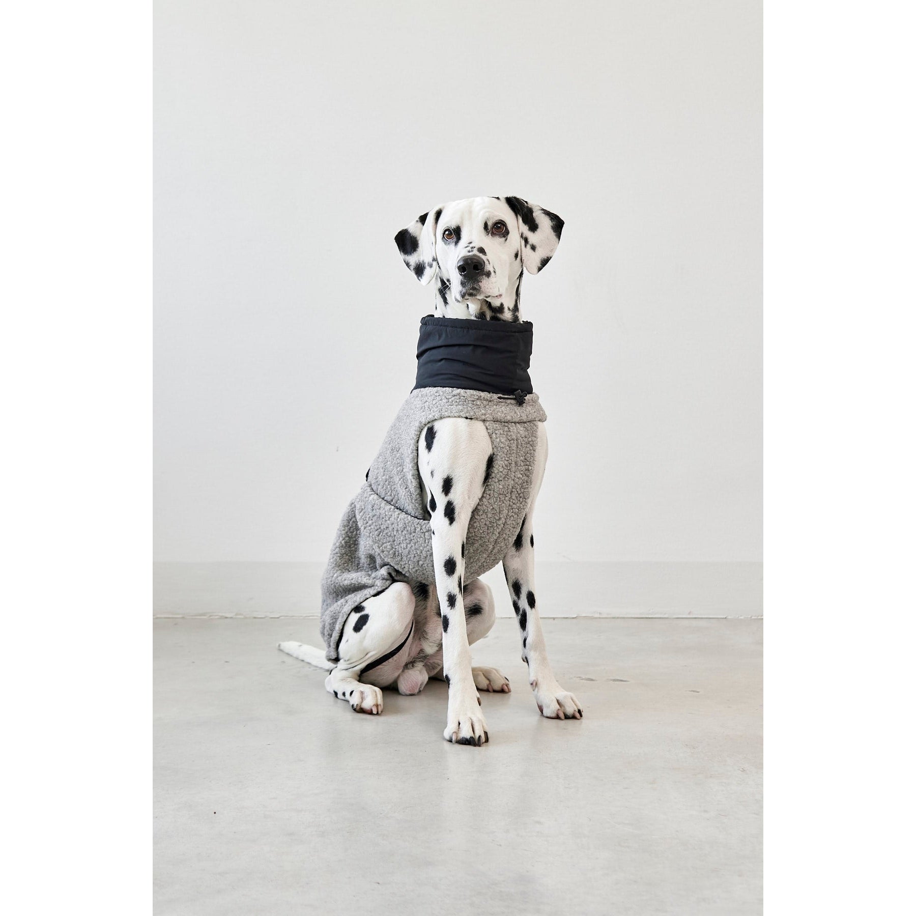 MiaCara Emilia Dog Contemporary Coat - Image 9