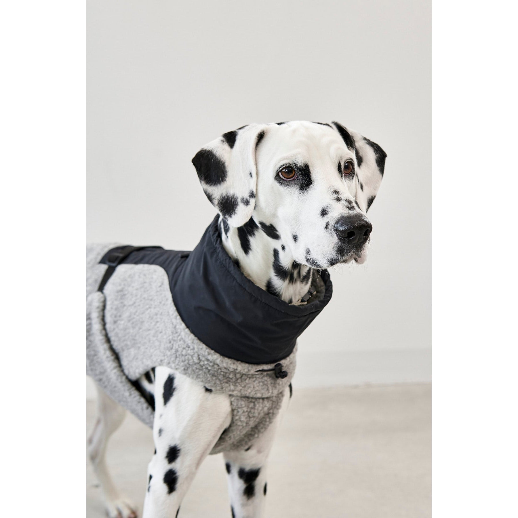 MiaCara Emilia Dog Contemporary Coat - Image 10