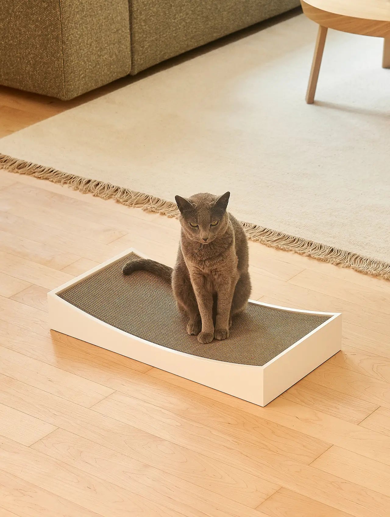 MiaCara Gratta replacement scratching board cardboard insert - in white