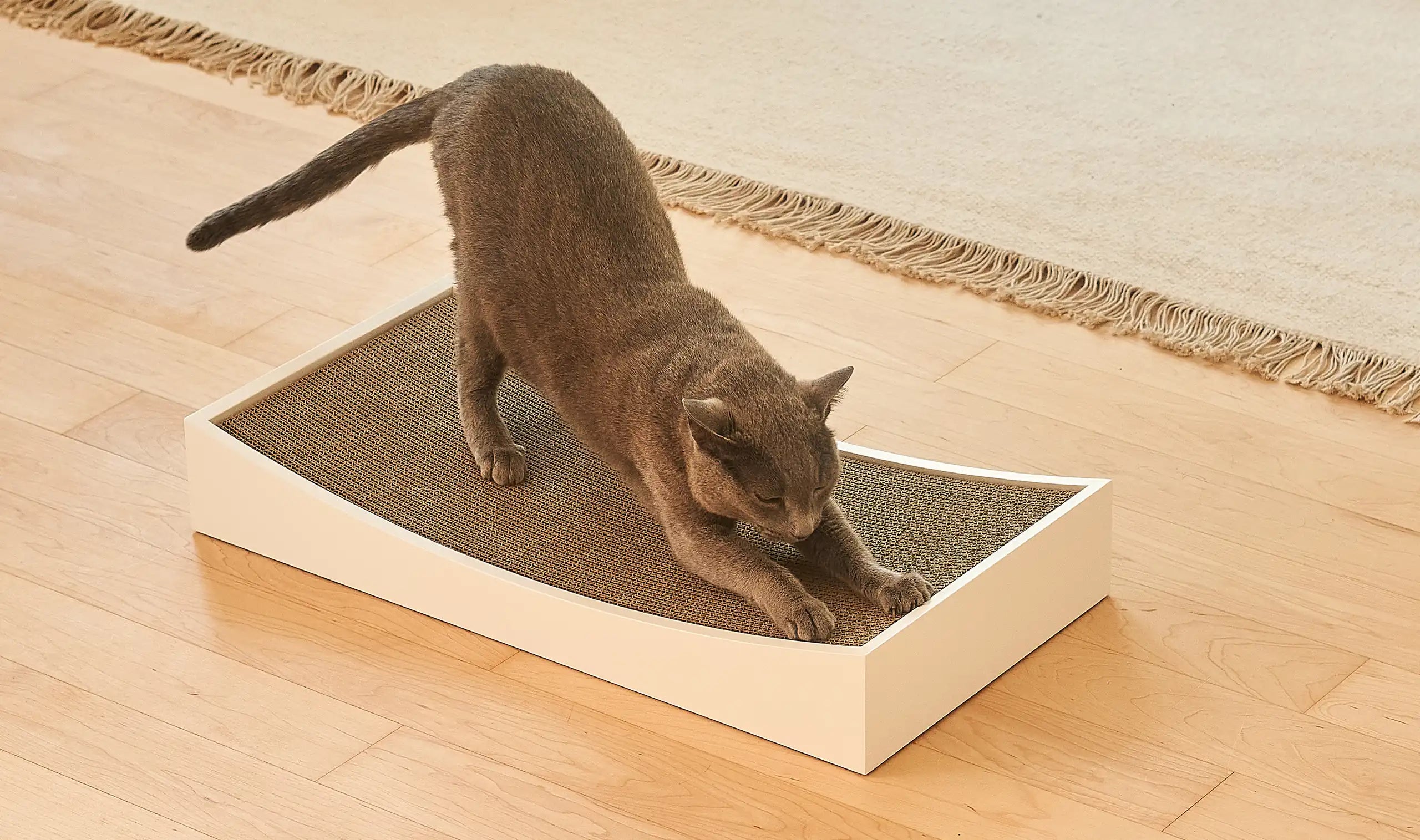 MiaCara Gratta replacement scratching board cardboard insert - in black