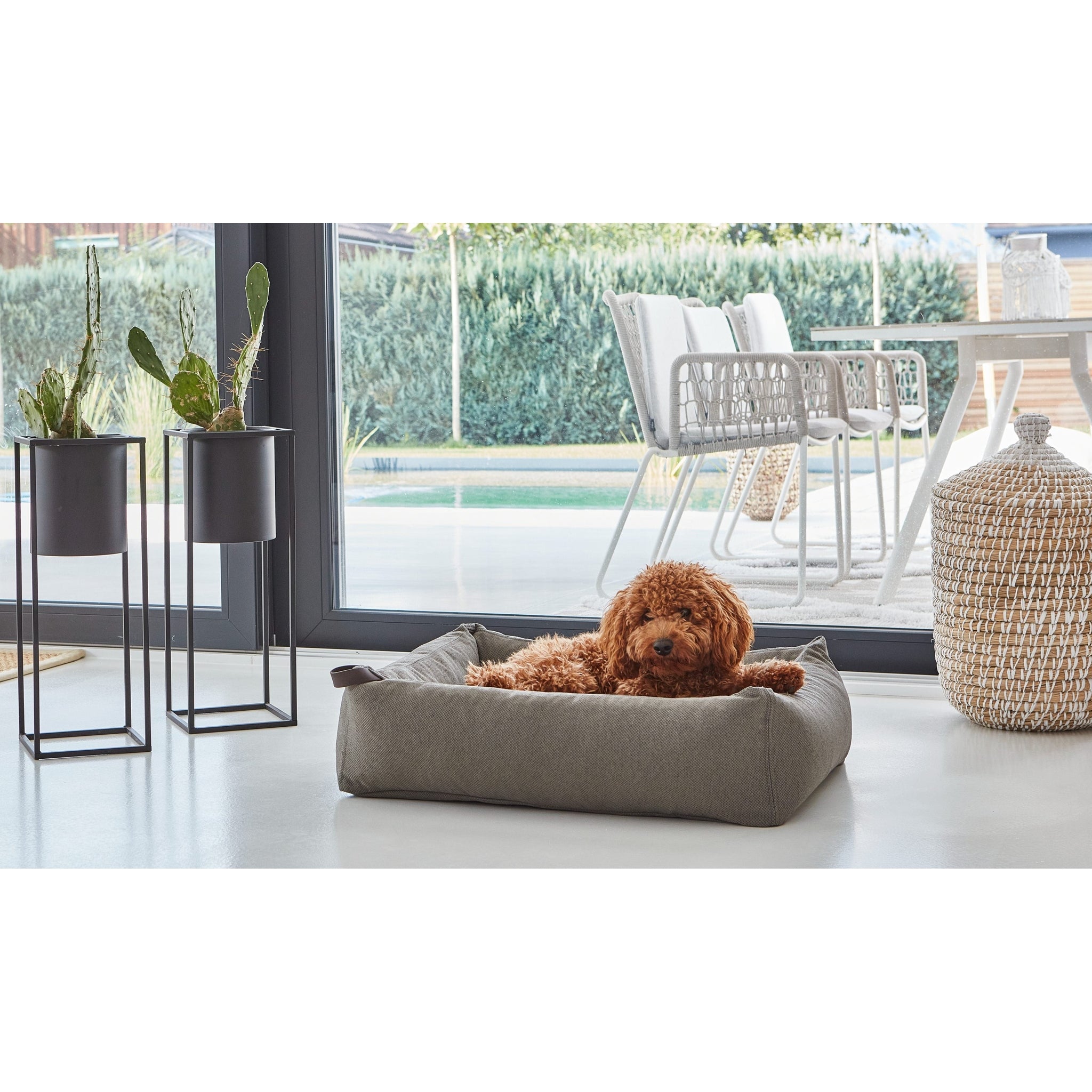 Designer grey MiaCara Mare dog bed with curly-haired dog in modern minimalist interior with plants and pool view