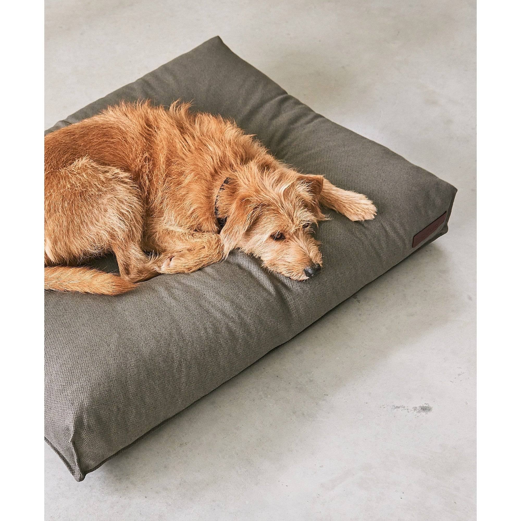 MiaCara Mare designer dog cushion cover detail view showing German minimalist design
