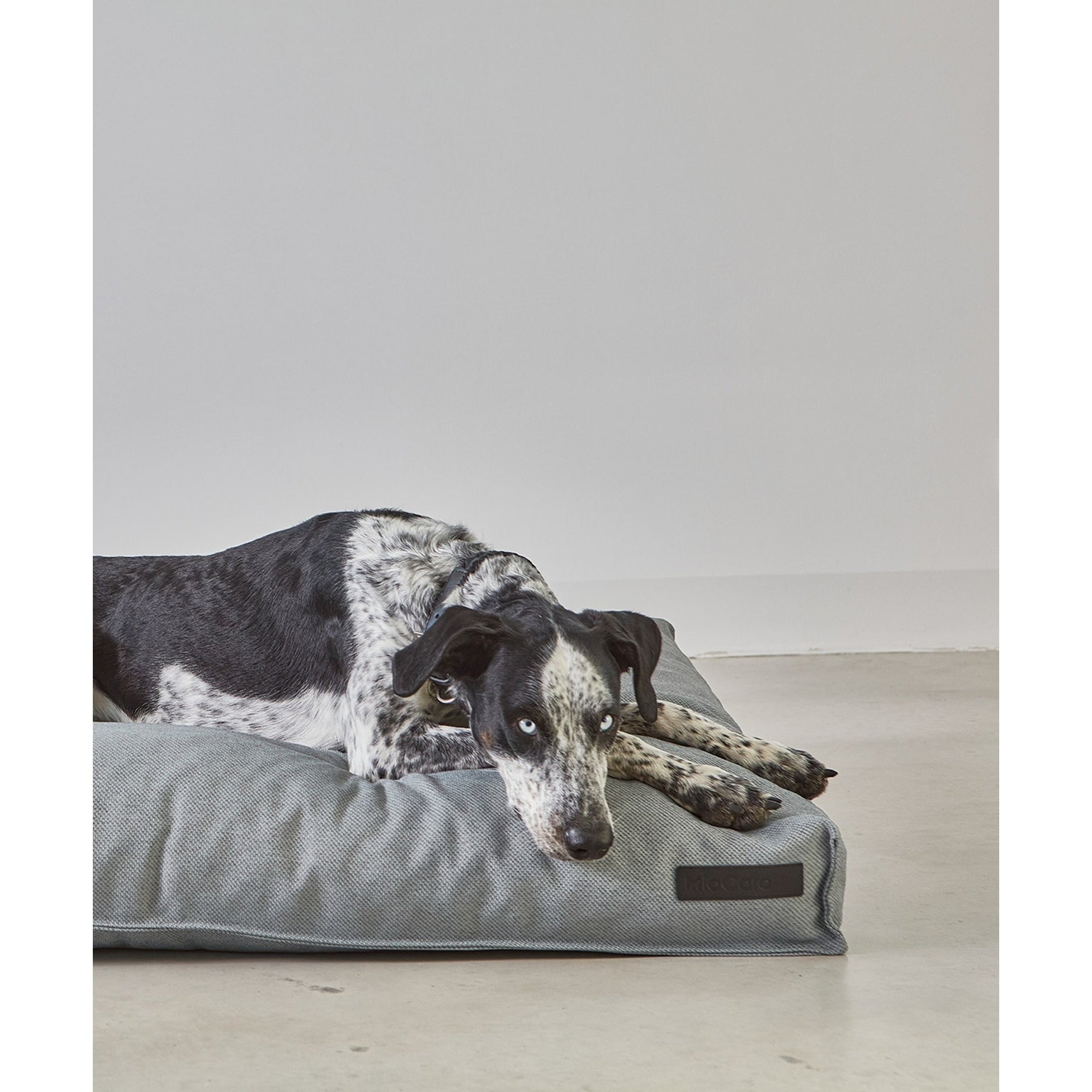 Detail view of MiaCara Mare designer dog cushion cover showcasing German minimalist design