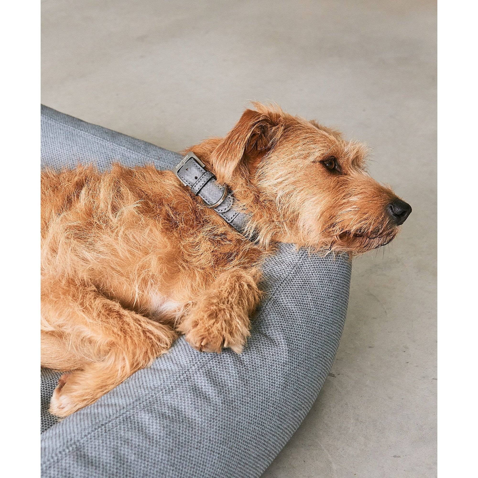 MiaCara Mare Dog Designer Bed Cover - Image 6