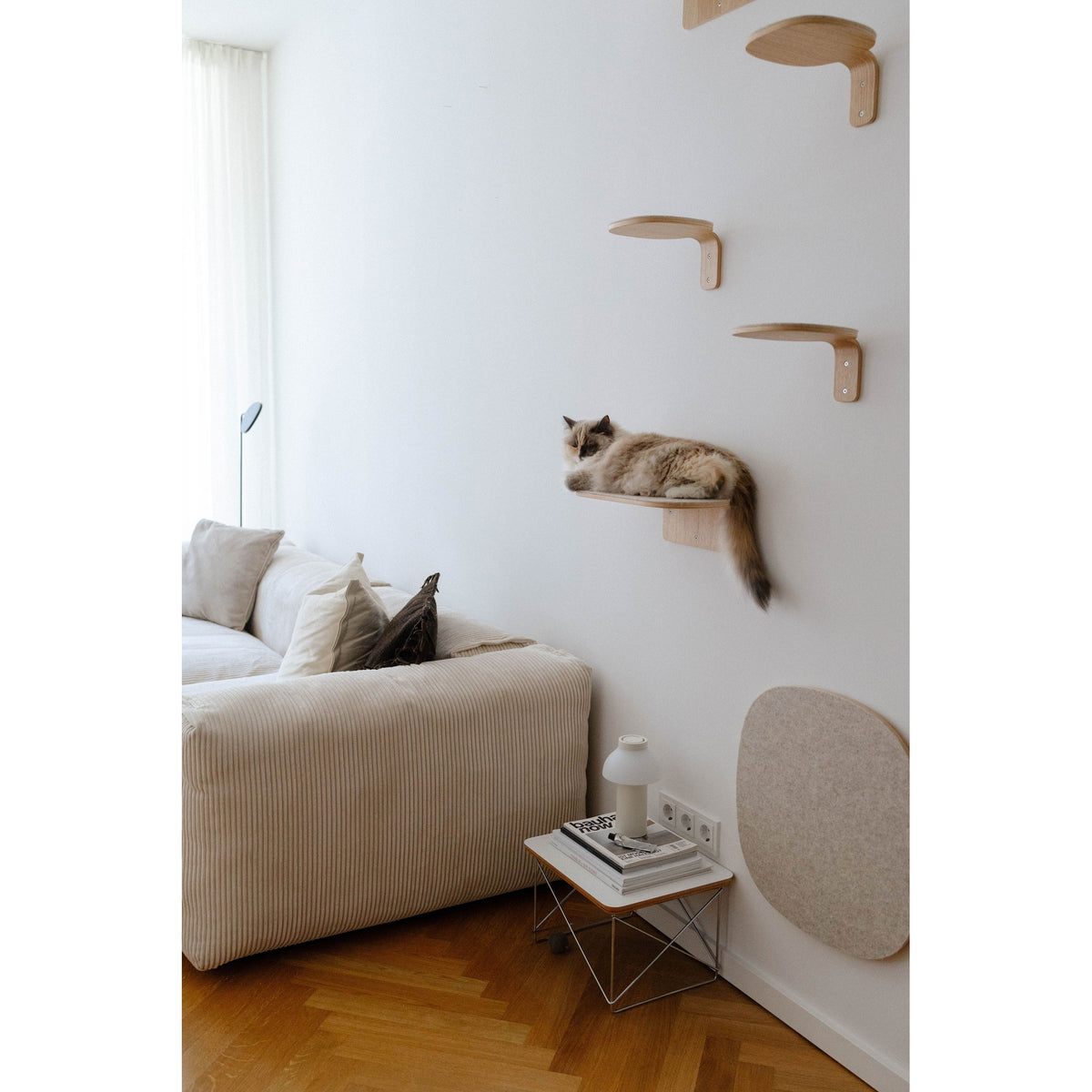 Cat resting on a MiaCara Parete wall step above a felt scratching panel in a living room