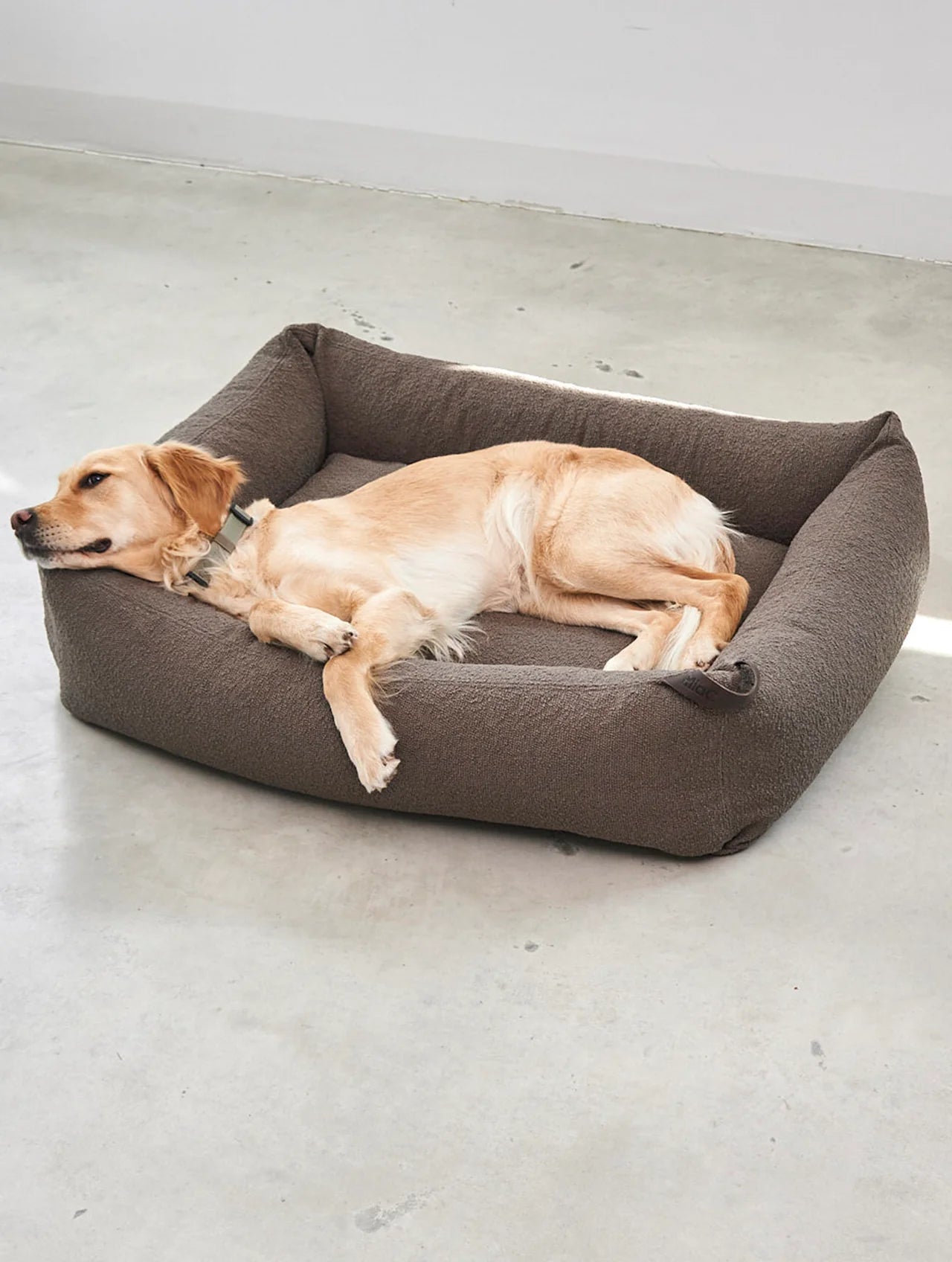 MiaCara Mondo FSC ash wood dog box bed - in white