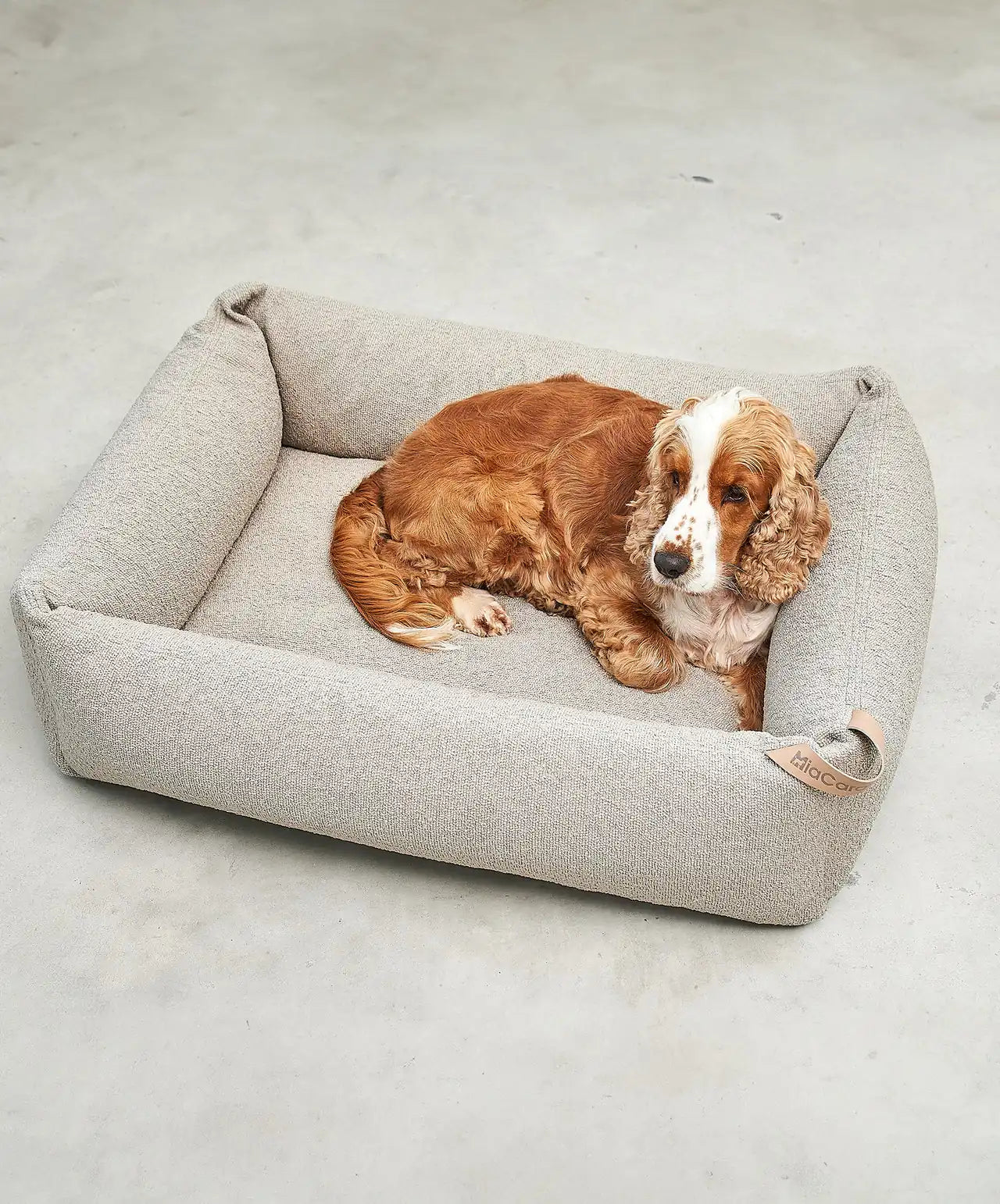 MiaCara Mondo FSC ash wood dog box bed - in black