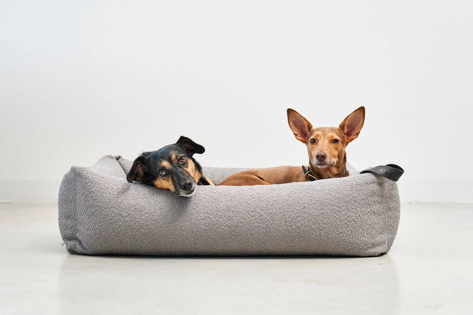 MiaCara Mondo FSC ash wood dog box bed - dimensions