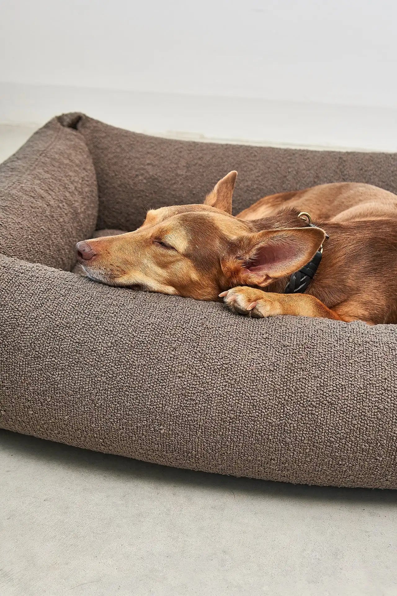 MiaCara Mondo FSC ash wood dog box bed - detail view