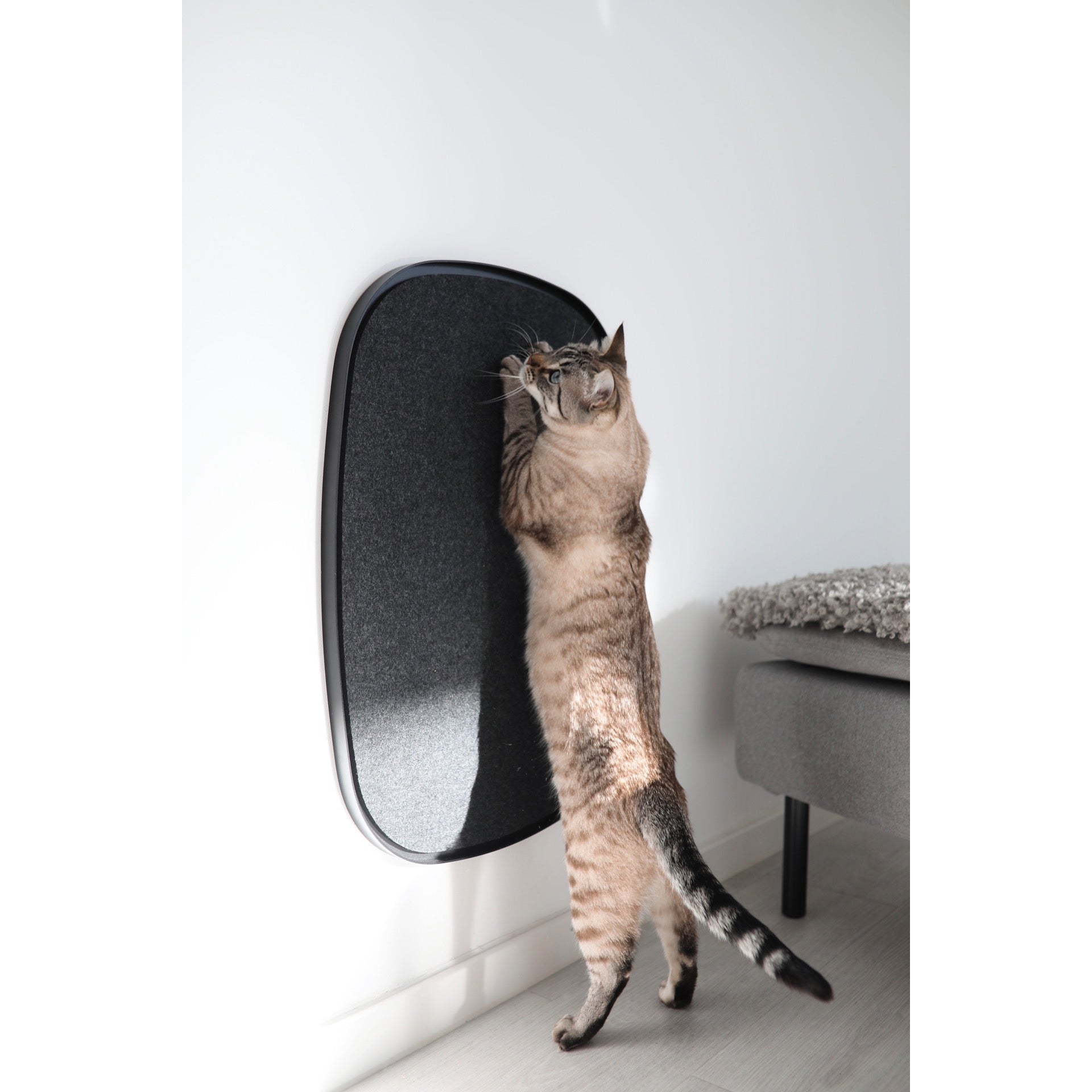 MiaCara Pannello Scratch Designer Panel - Image 5