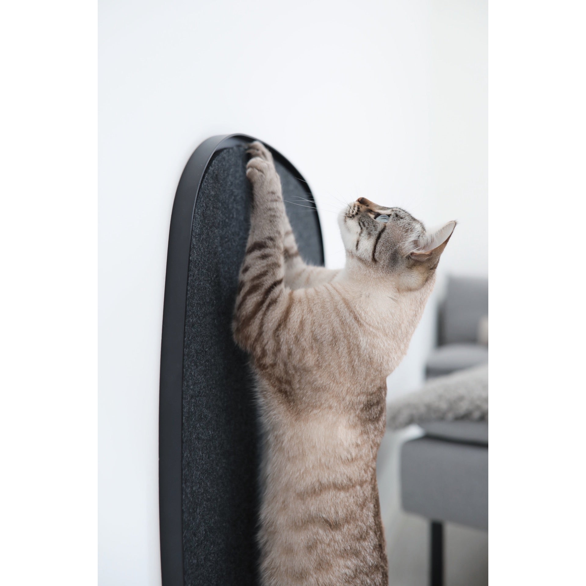 MiaCara Pannello Scratch Designer Panel - Image 6