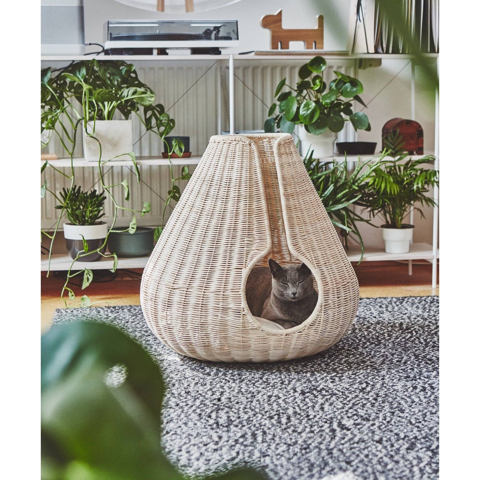 Grey cat relaxing in MiaCara Perla wicker cat cave, modern teardrop design surrounded by plants in contemporary home